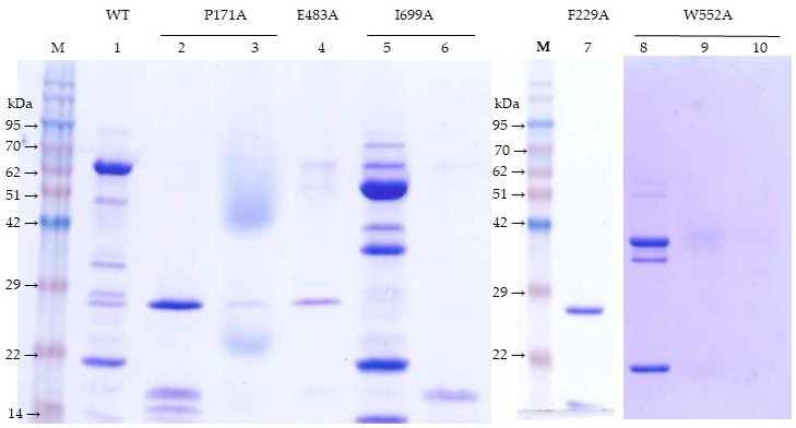 Toxins 11 00368 g003 Toxins 11 00368 g003