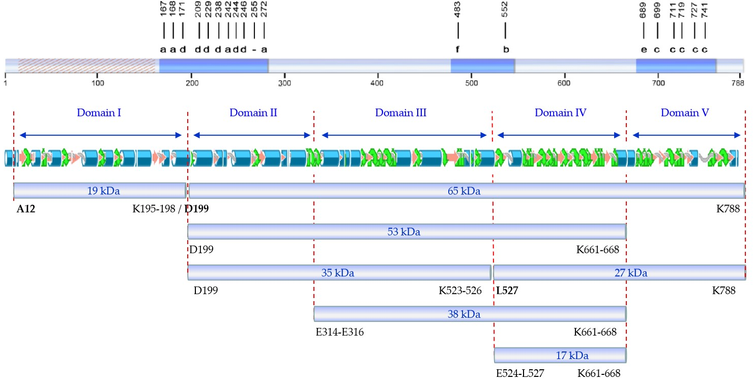 Toxins 11 00368 g004 Toxins 11 00368 g004