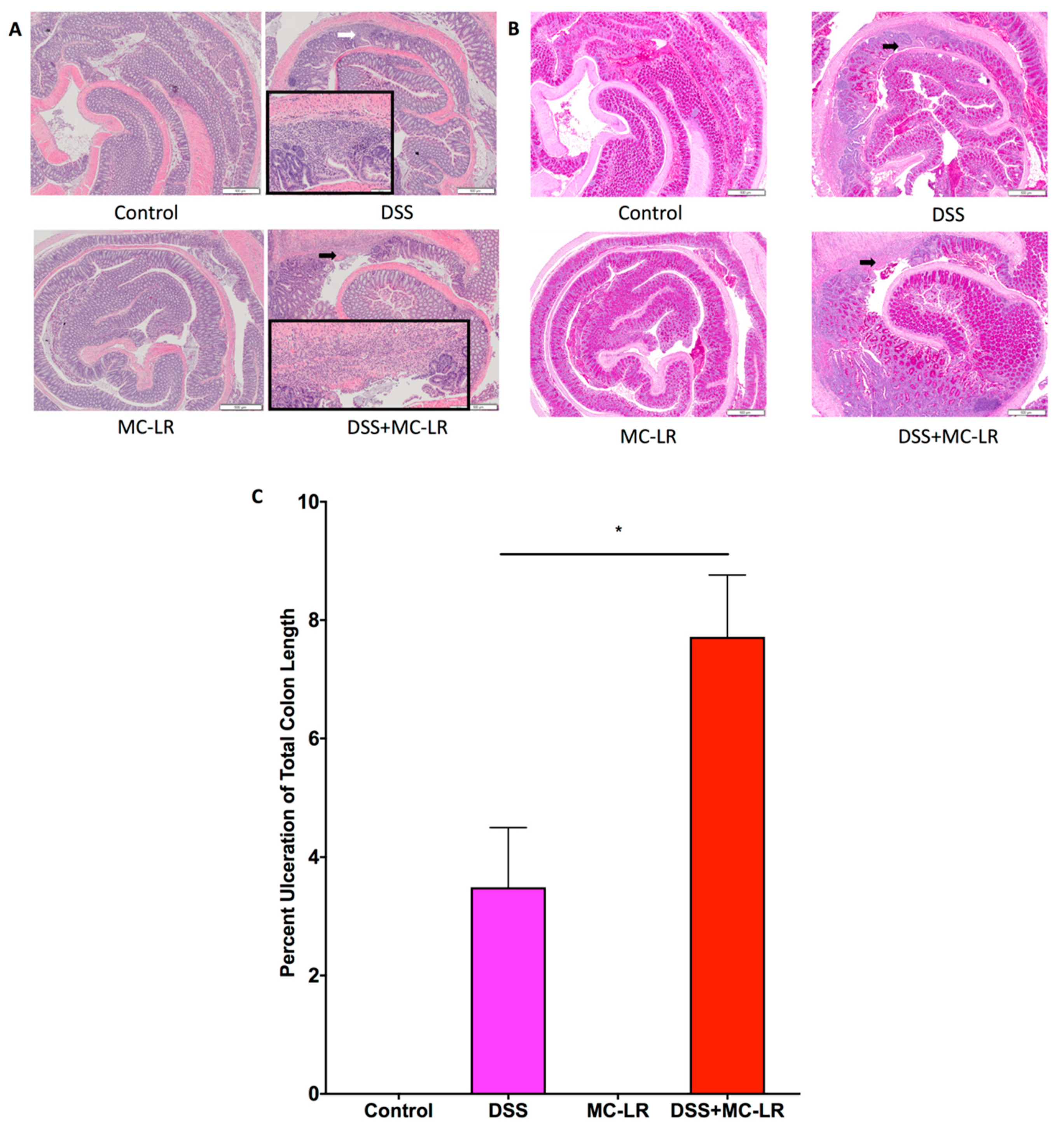 Toxins 11 00371 g005