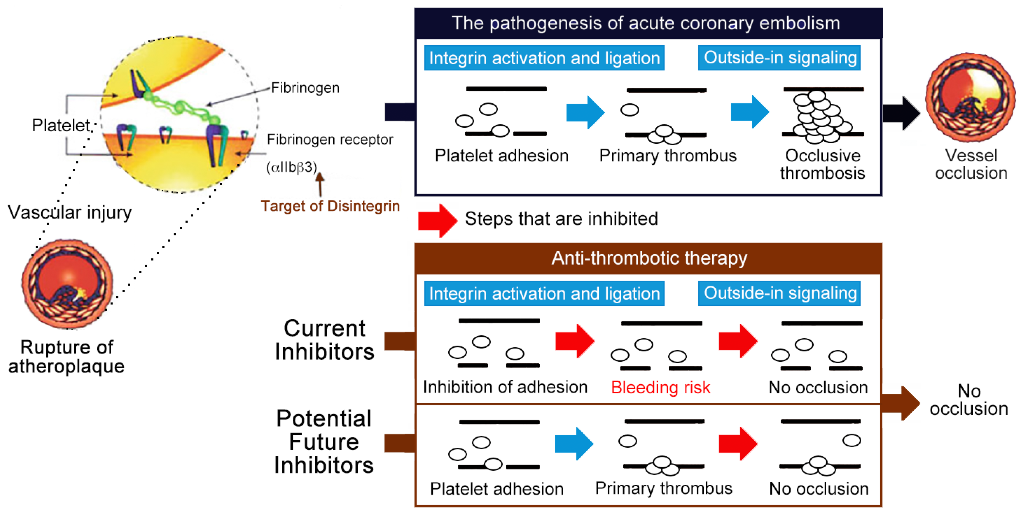 Toxins 11 00372 g001