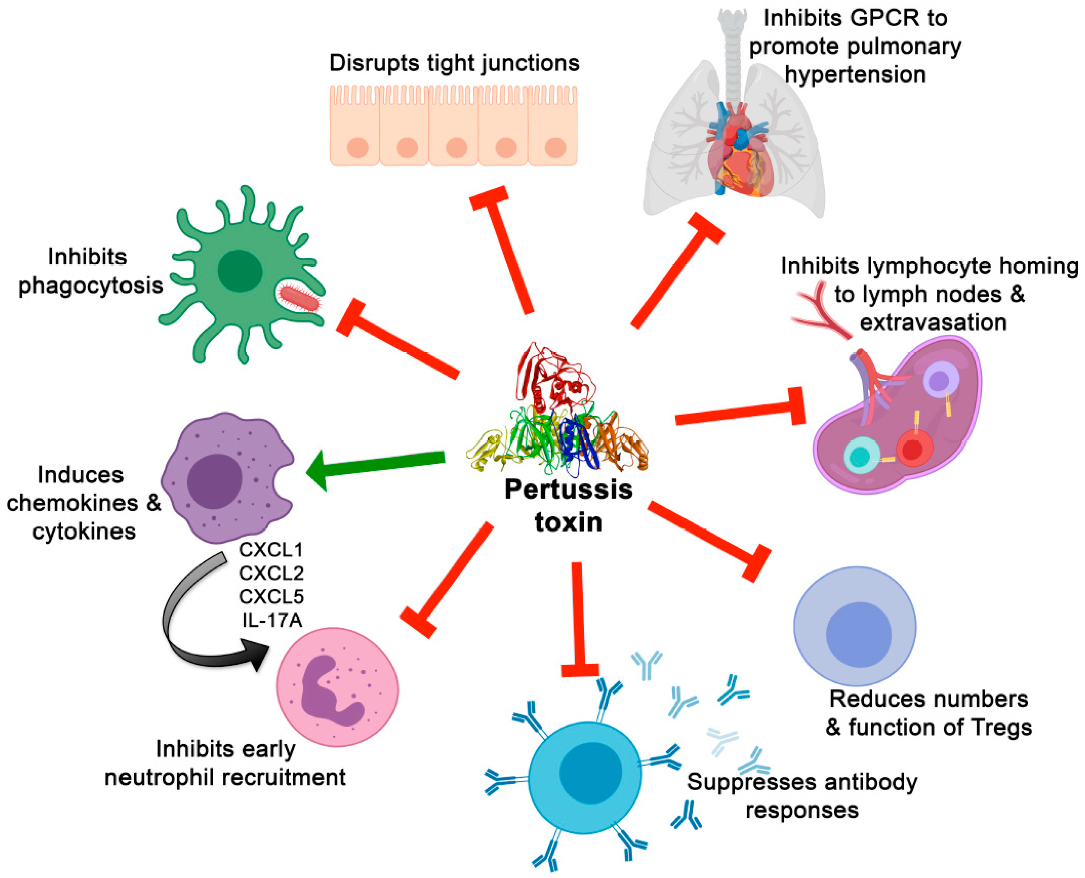 Toxins 11 00373 g001 Toxins 11 00373 g001