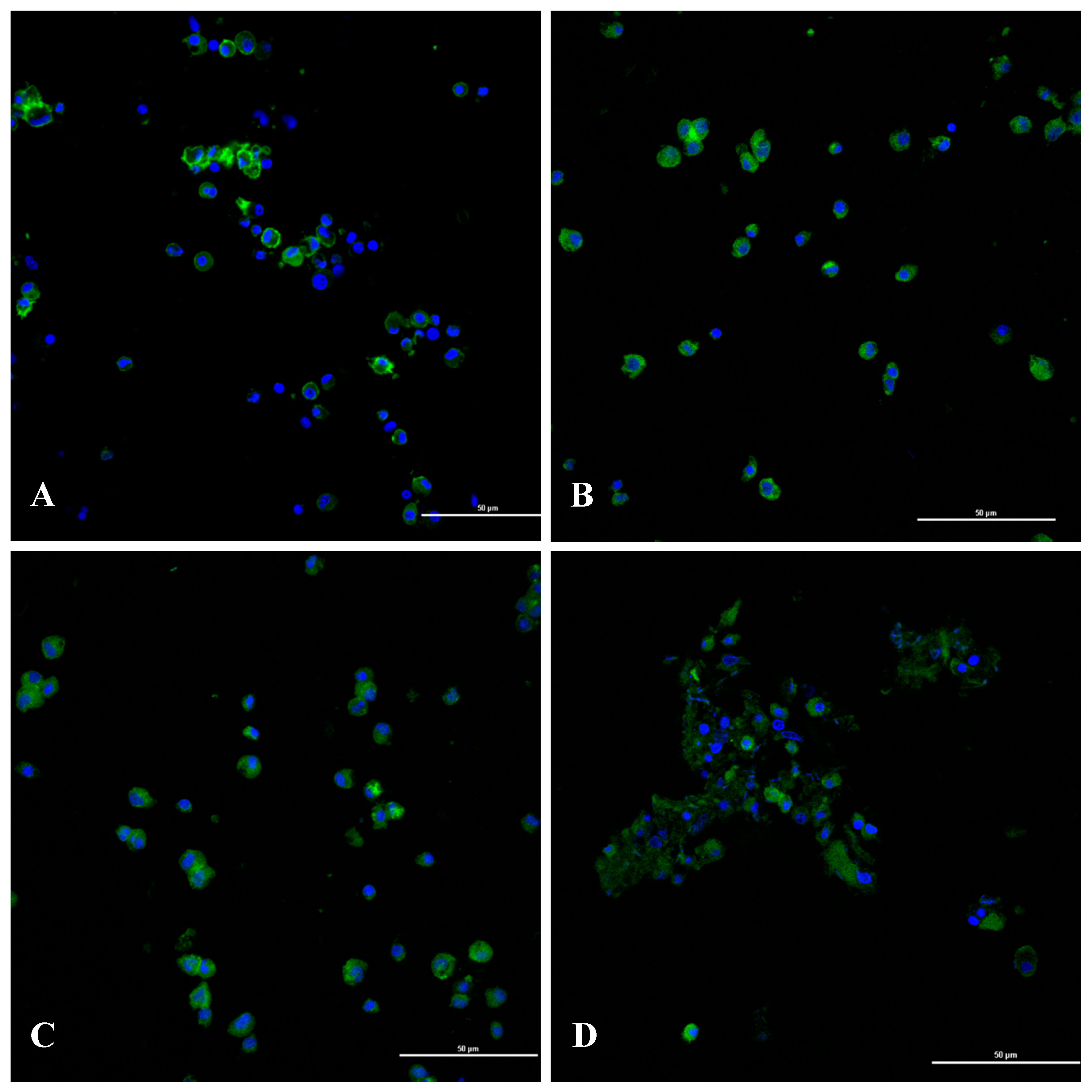 Toxins 11 00390 g008