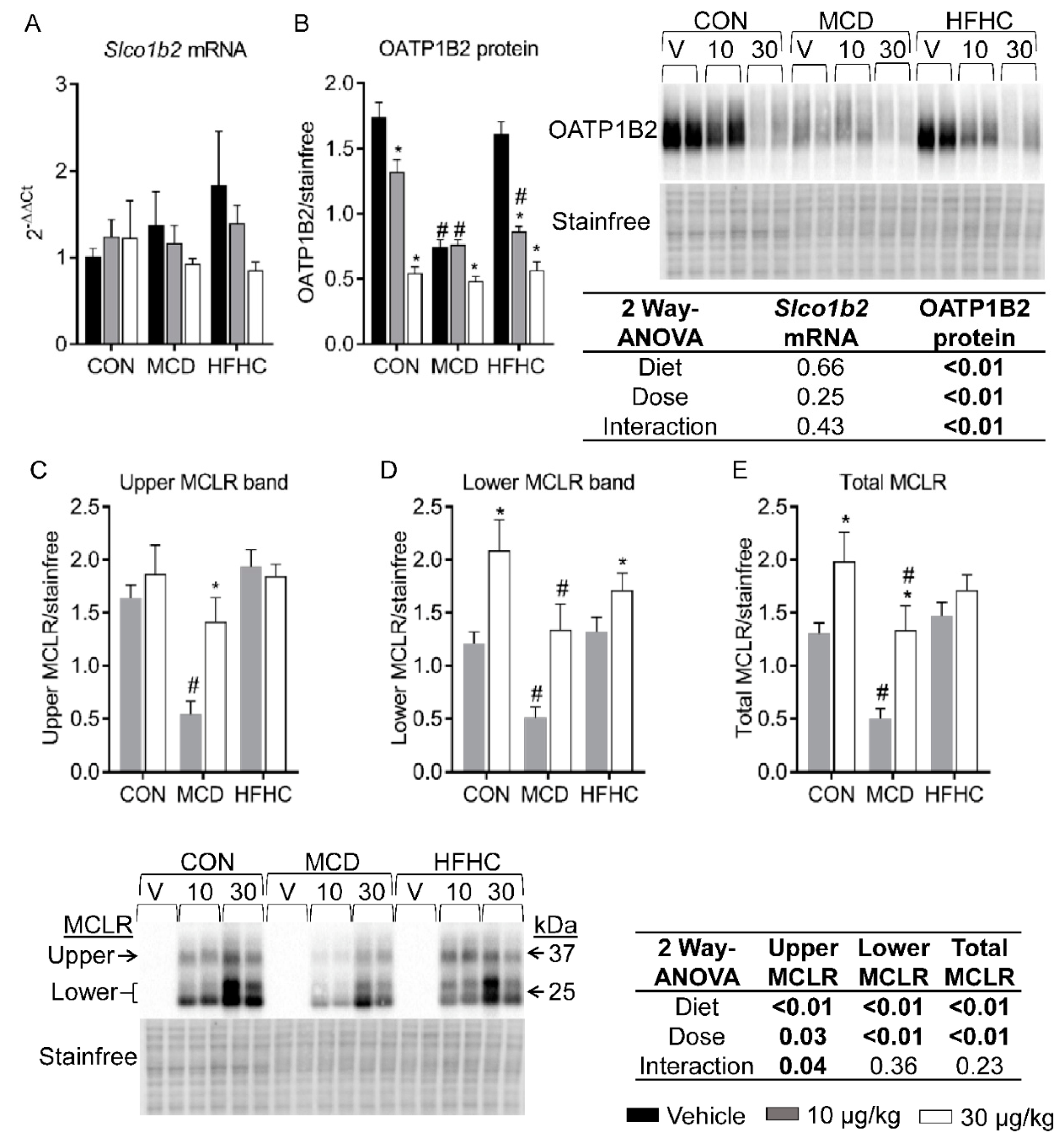 Toxins 11 00398 g001