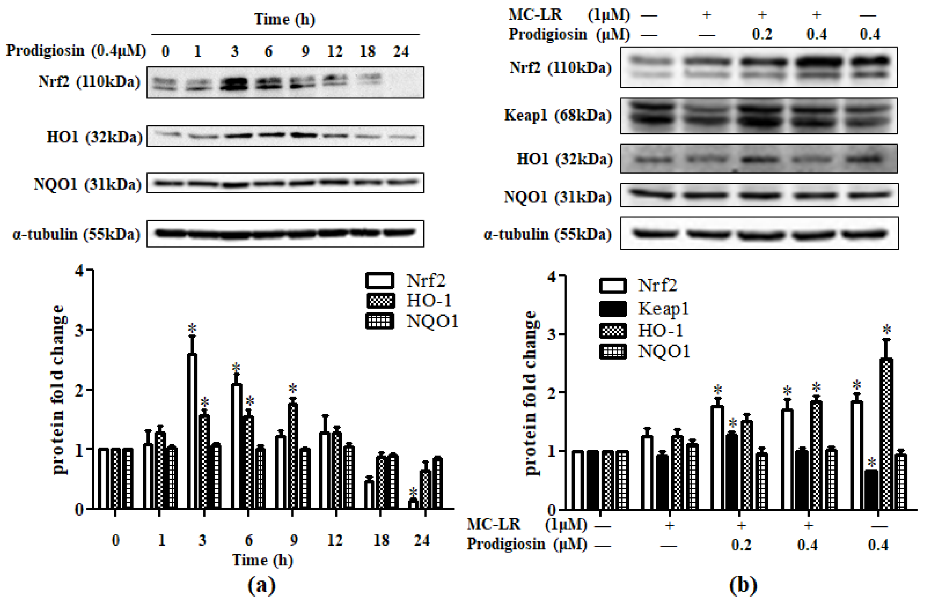 Toxins 11 00403 g002