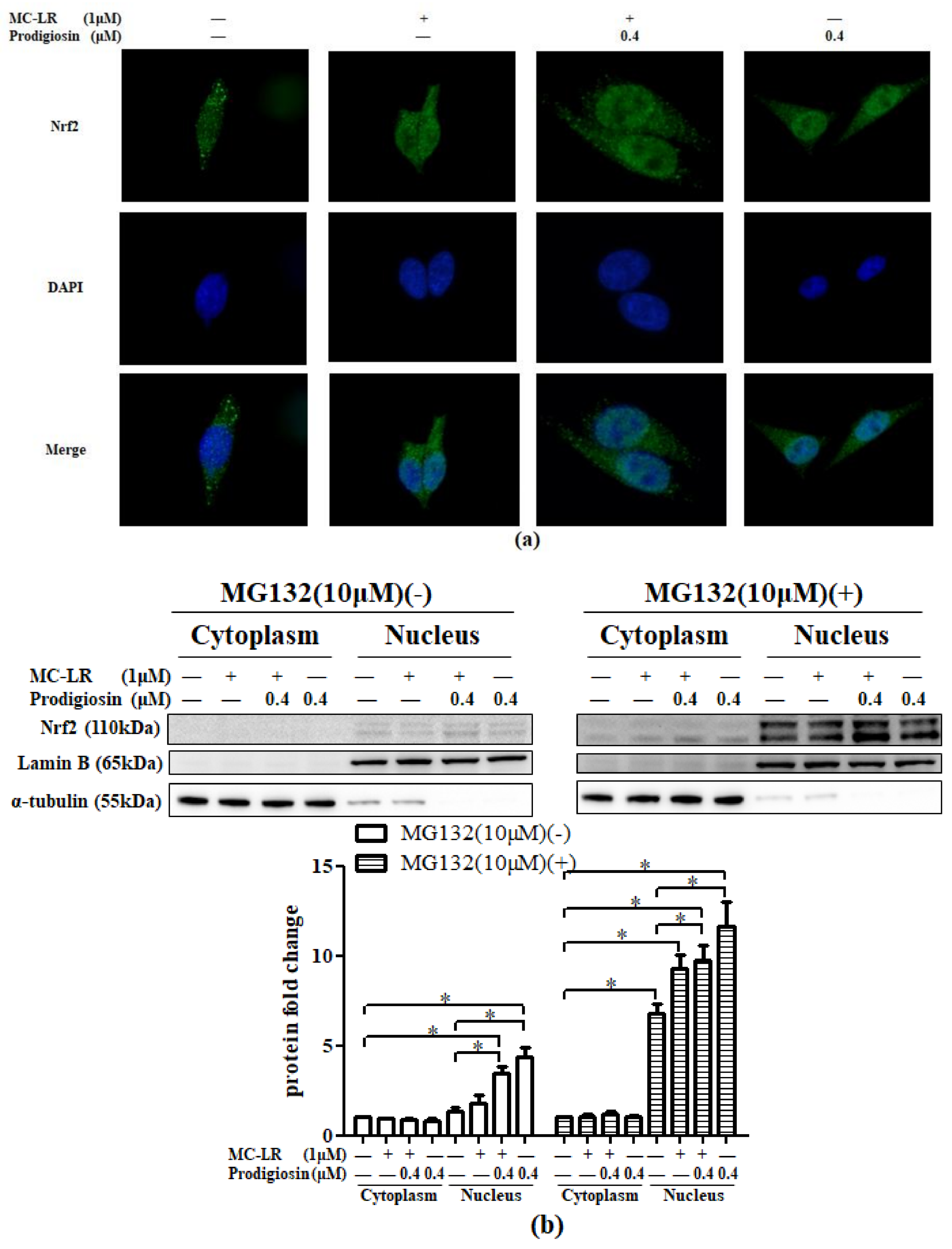 Toxins 11 00403 g003