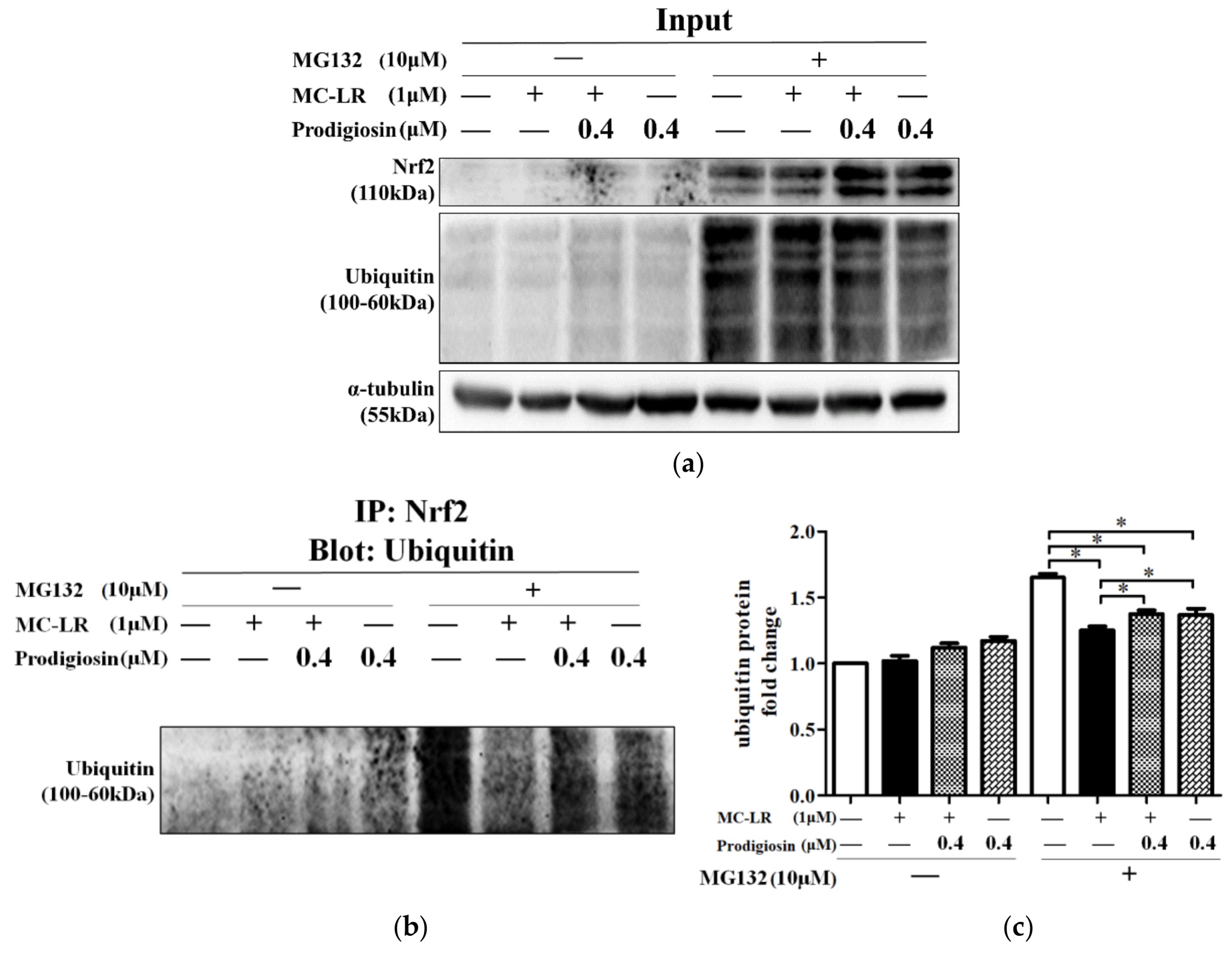 Toxins 11 00403 g004