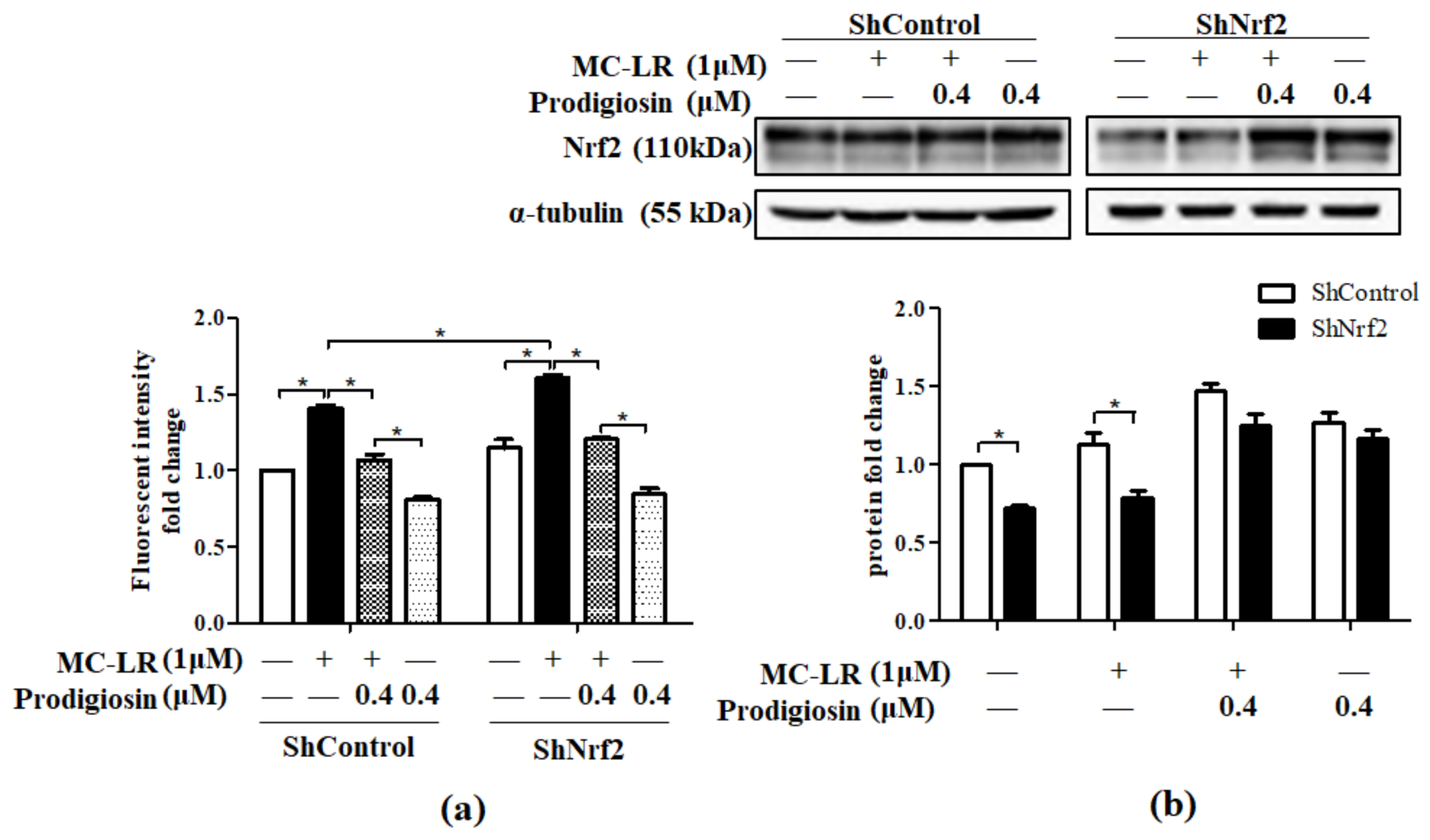 Toxins 11 00403 g005