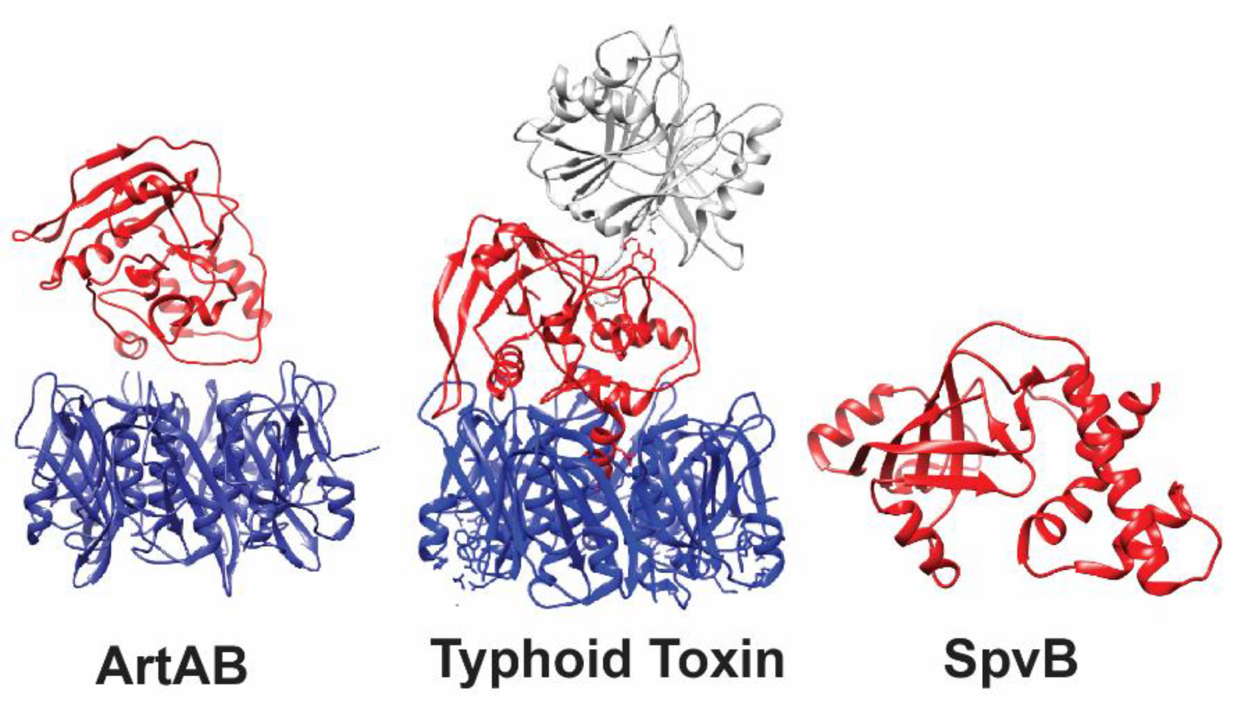 Toxins 11 00416 g002 Toxins 11 00416 g002