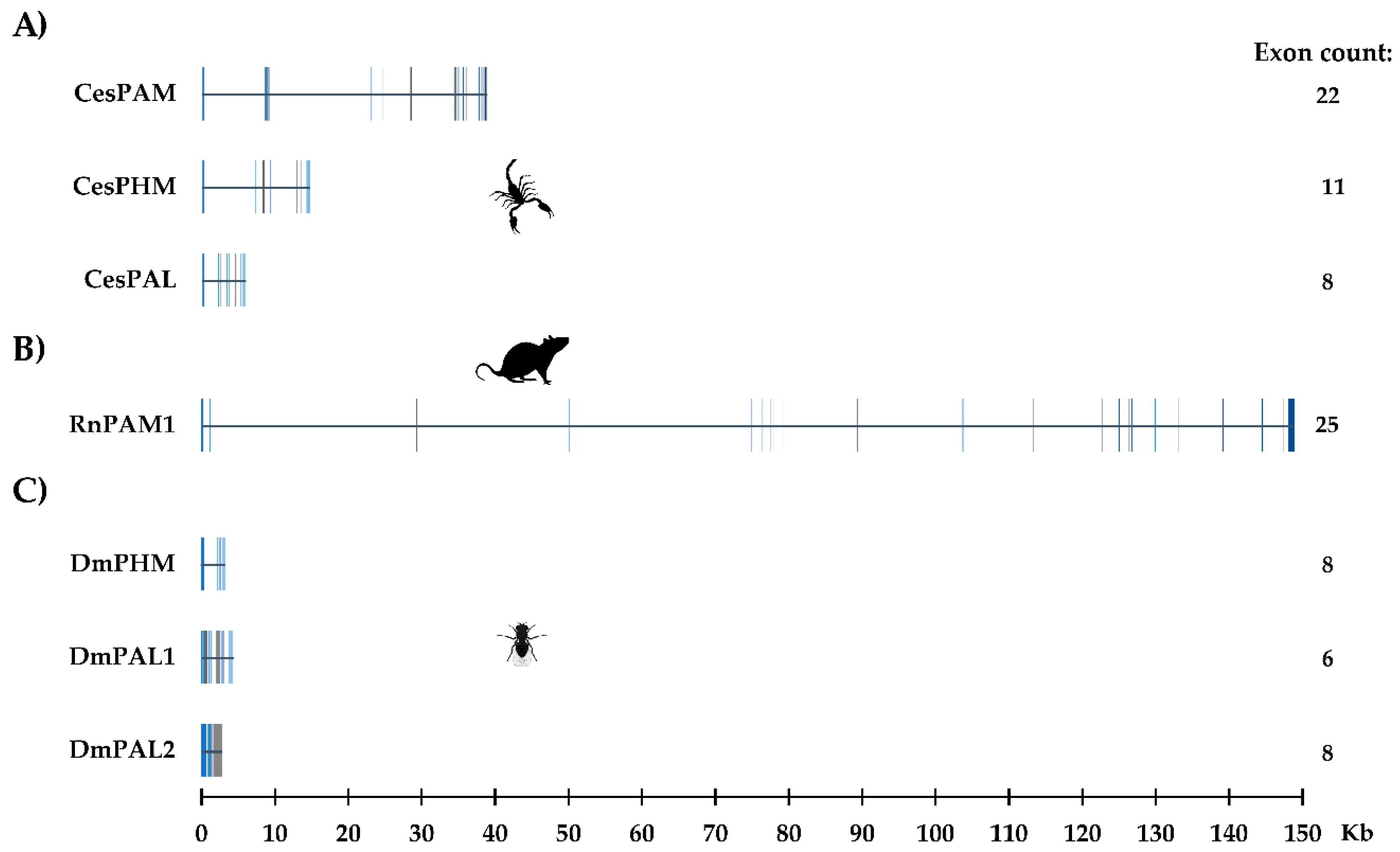 Toxins 11 00425 g003