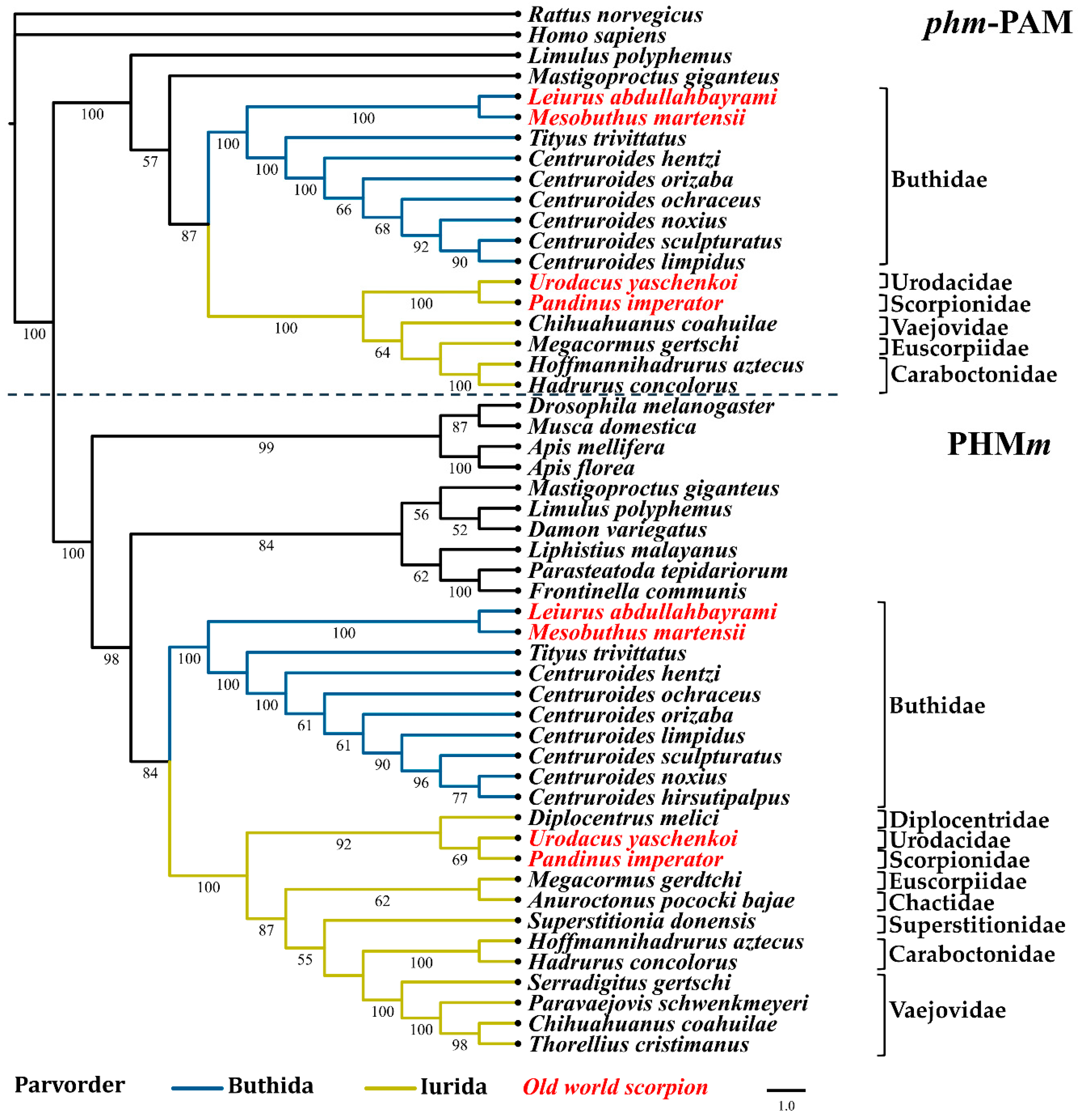 Toxins 11 00425 g004