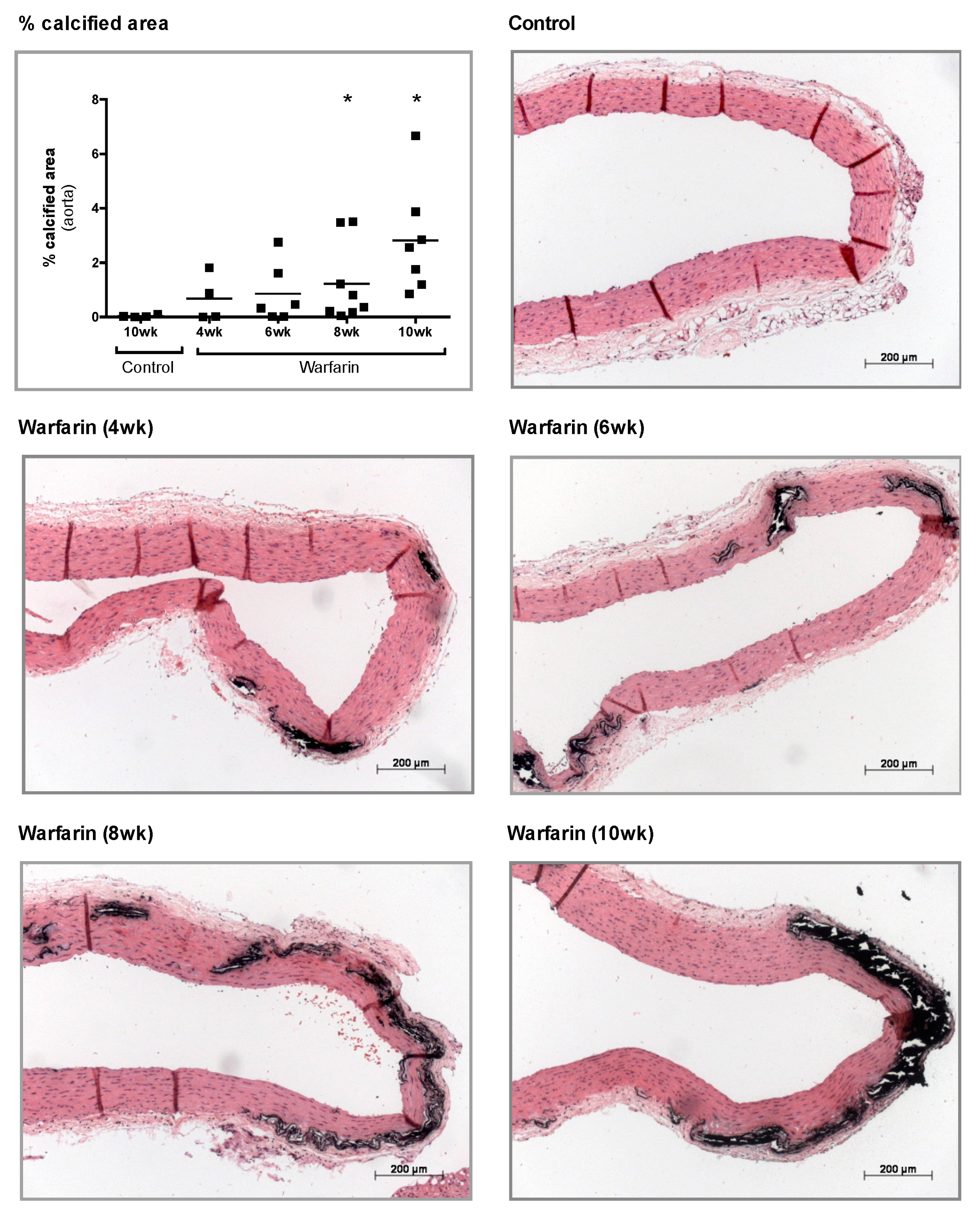 Toxins 11 00428 g003 Toxins 11 00428 g003