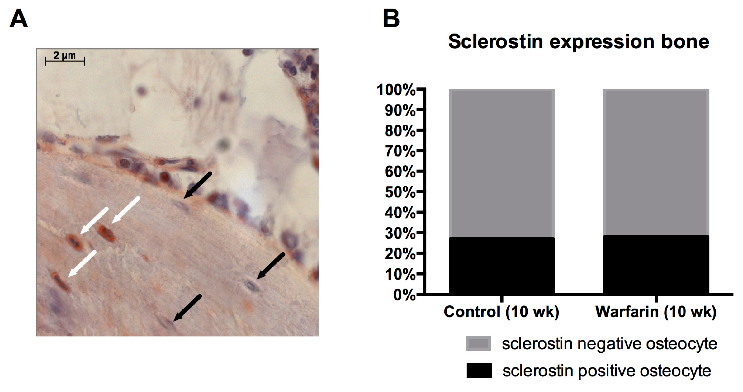 Toxins 11 00428 g008 Toxins 11 00428 g008