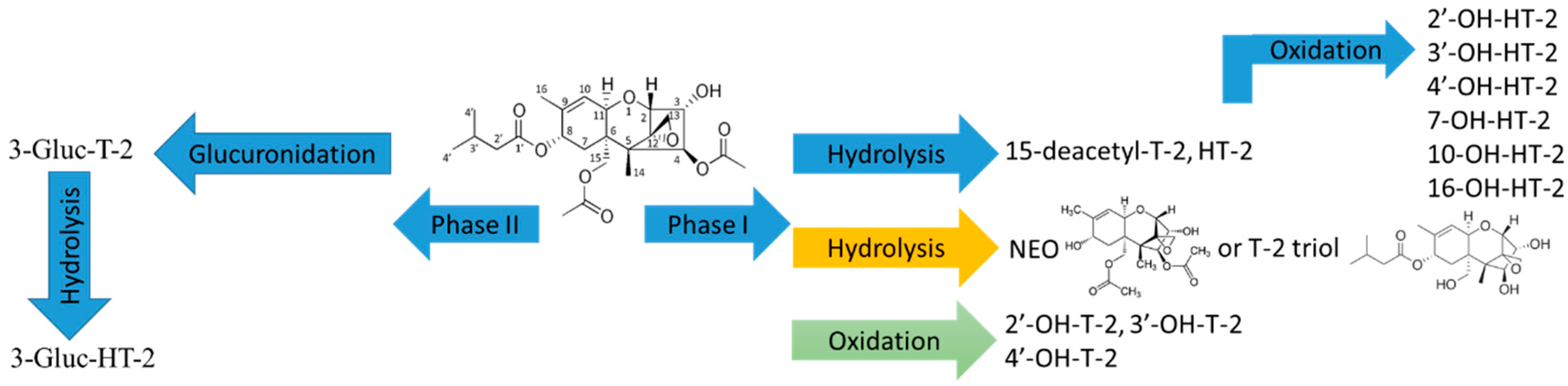 Toxins 11 00433 g003