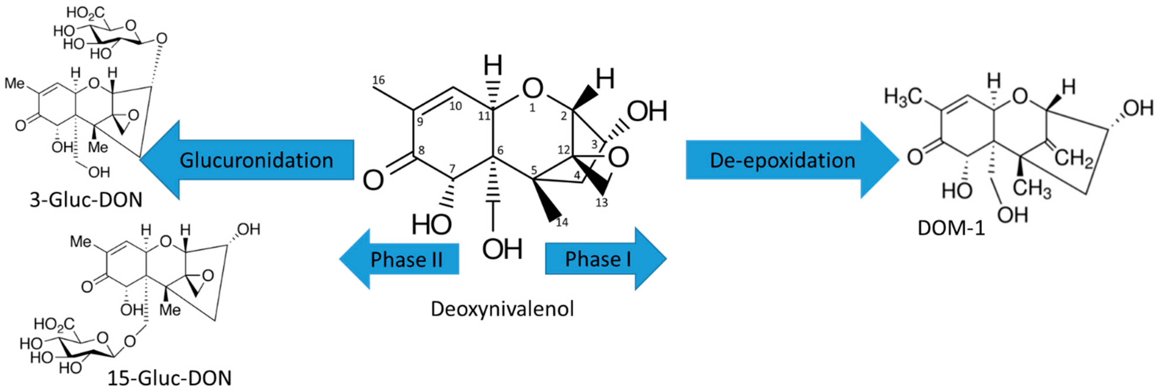 Toxins 11 00433 g004