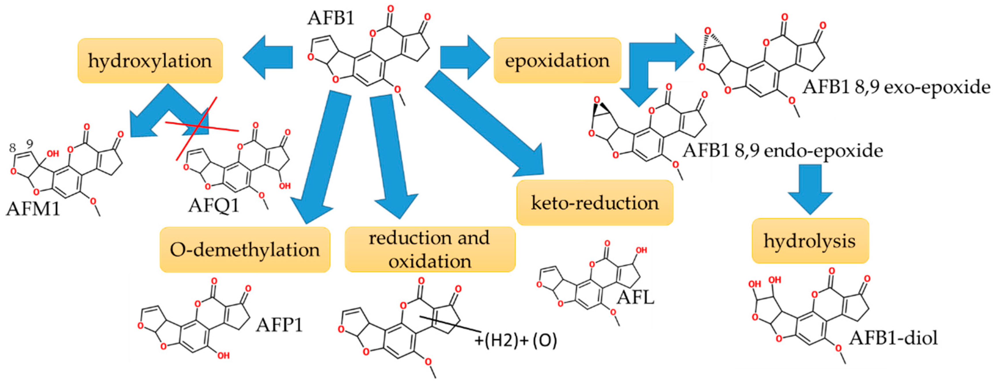 Toxins 11 00433 g005