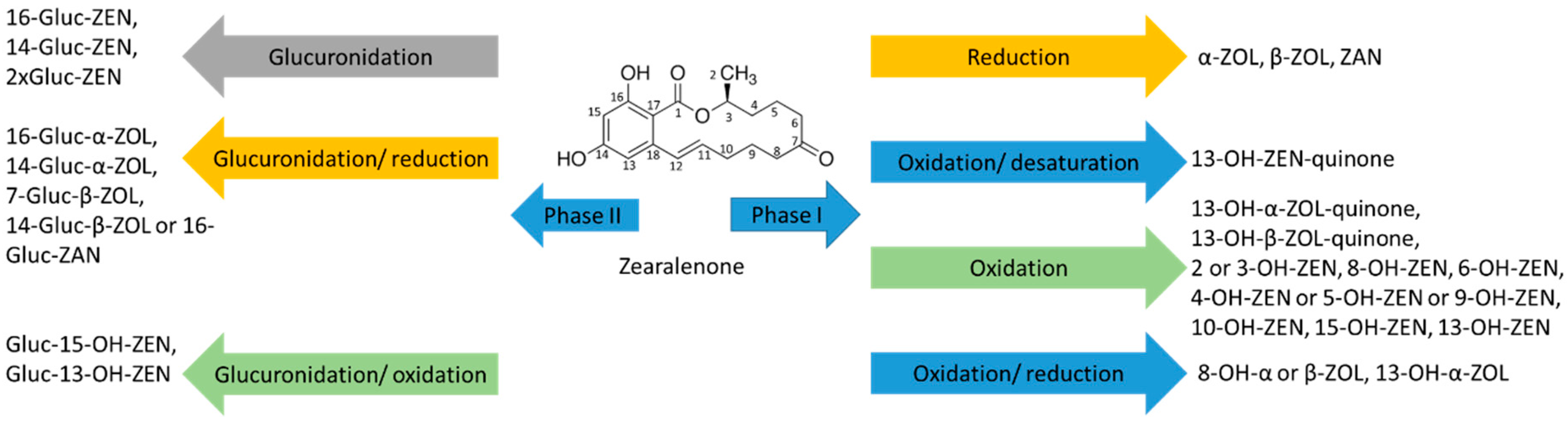 Toxins 11 00433 g006