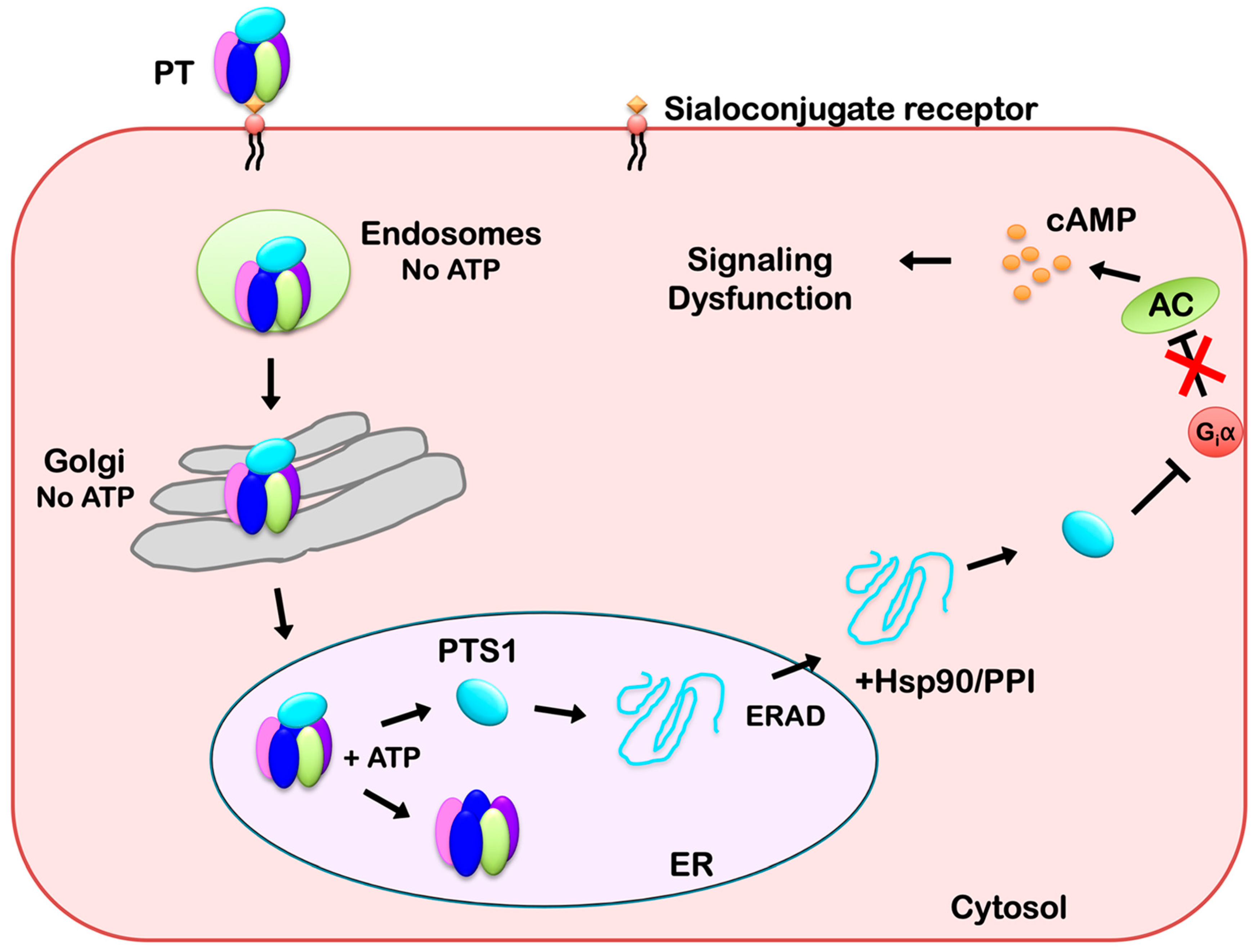 Toxins 11 00437 g002