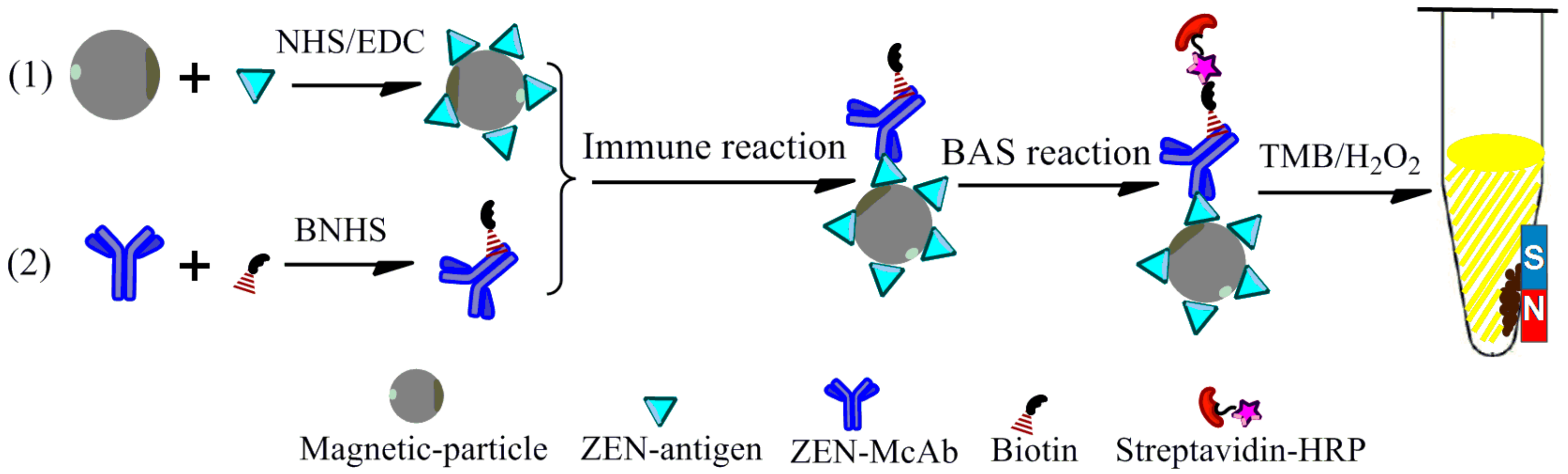 Toxins 11 00451 g001 Toxins 11 00451 g001