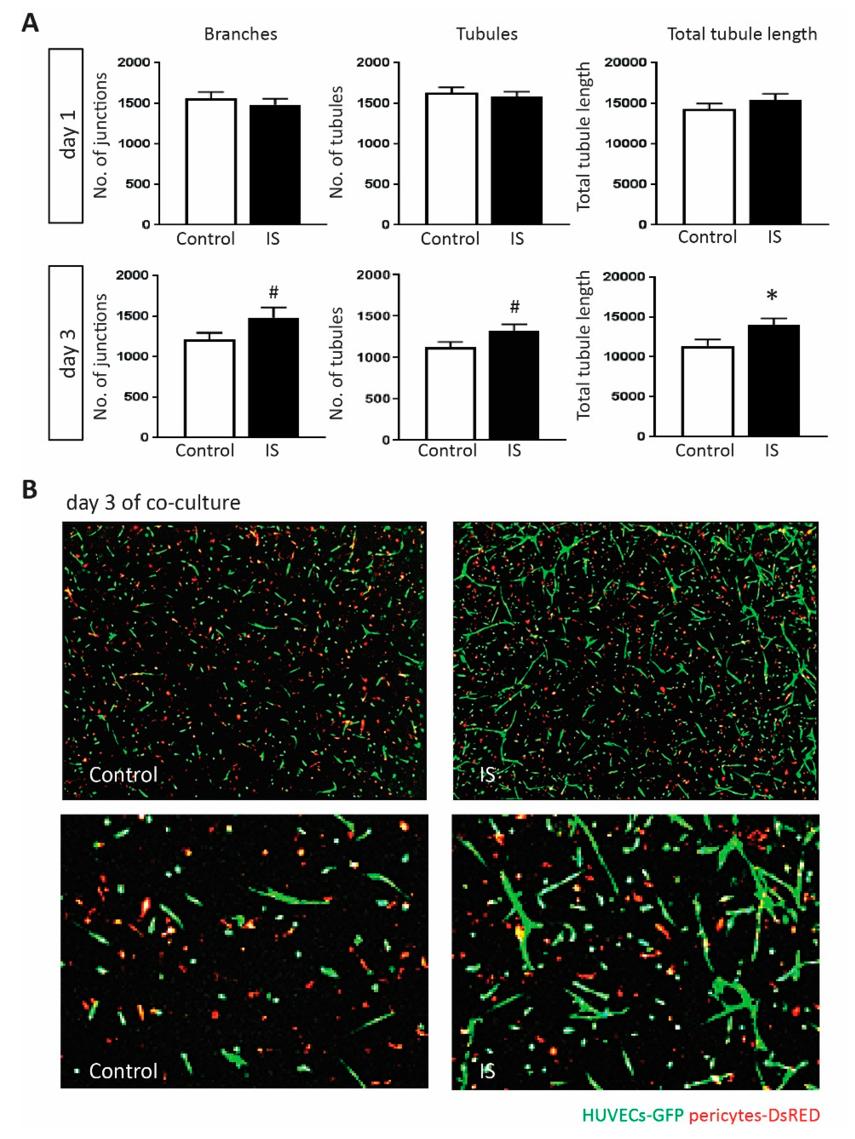 Toxins 11 00454 g003 Toxins 11 00454 g003