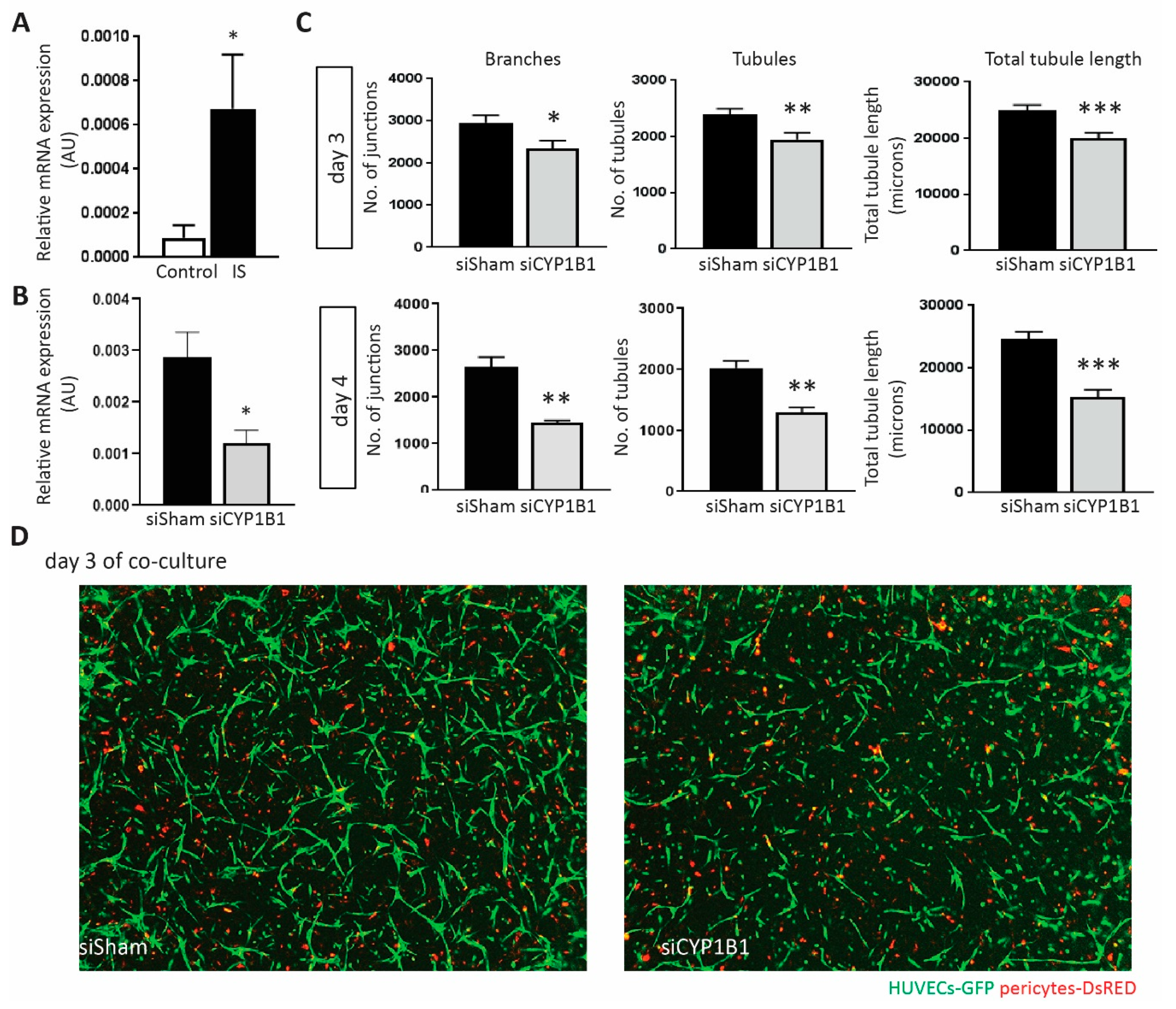 Toxins 11 00454 g004 Toxins 11 00454 g004