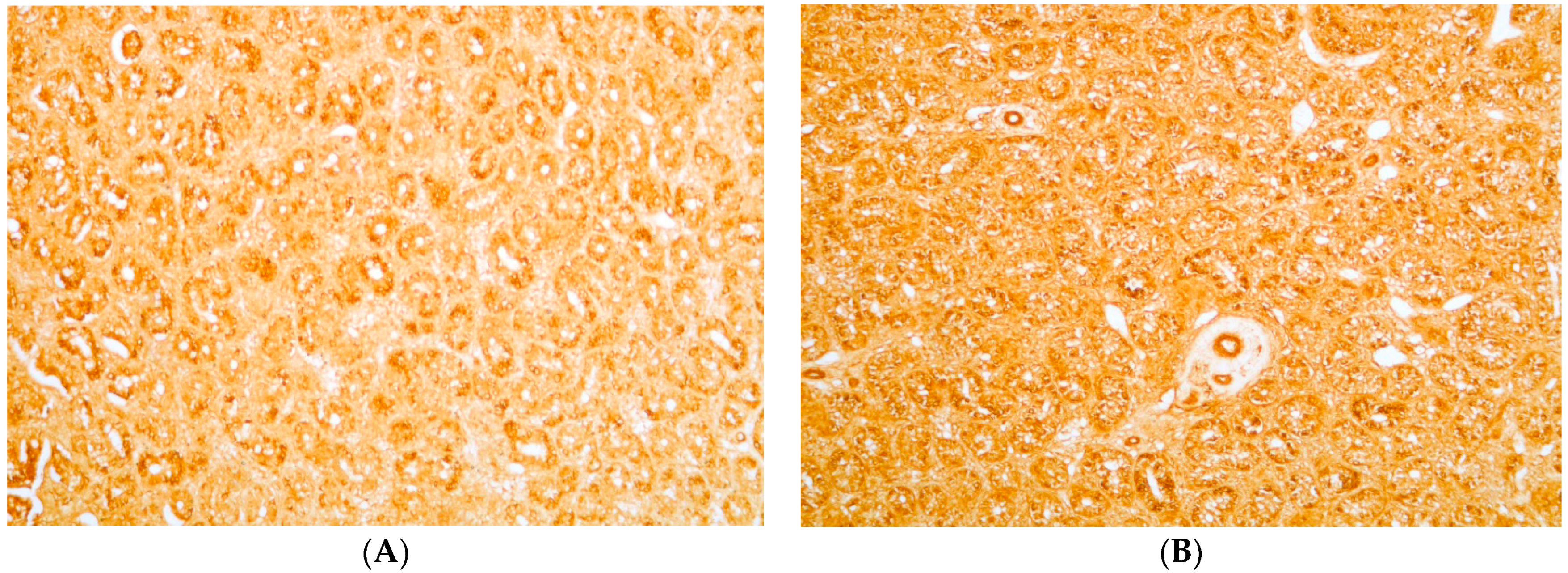 Toxins 11 00455 g001a
