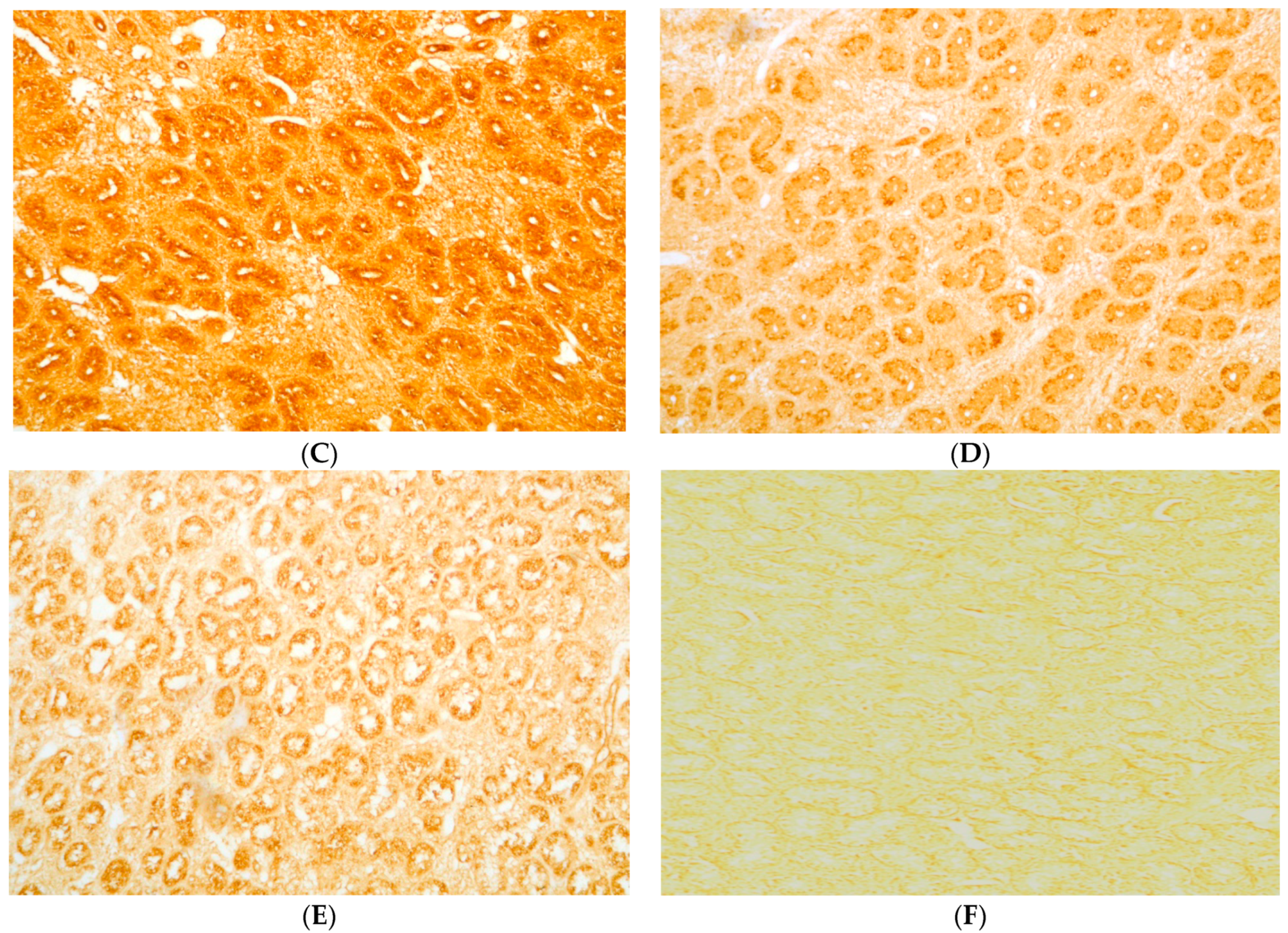Toxins 11 00455 g001b