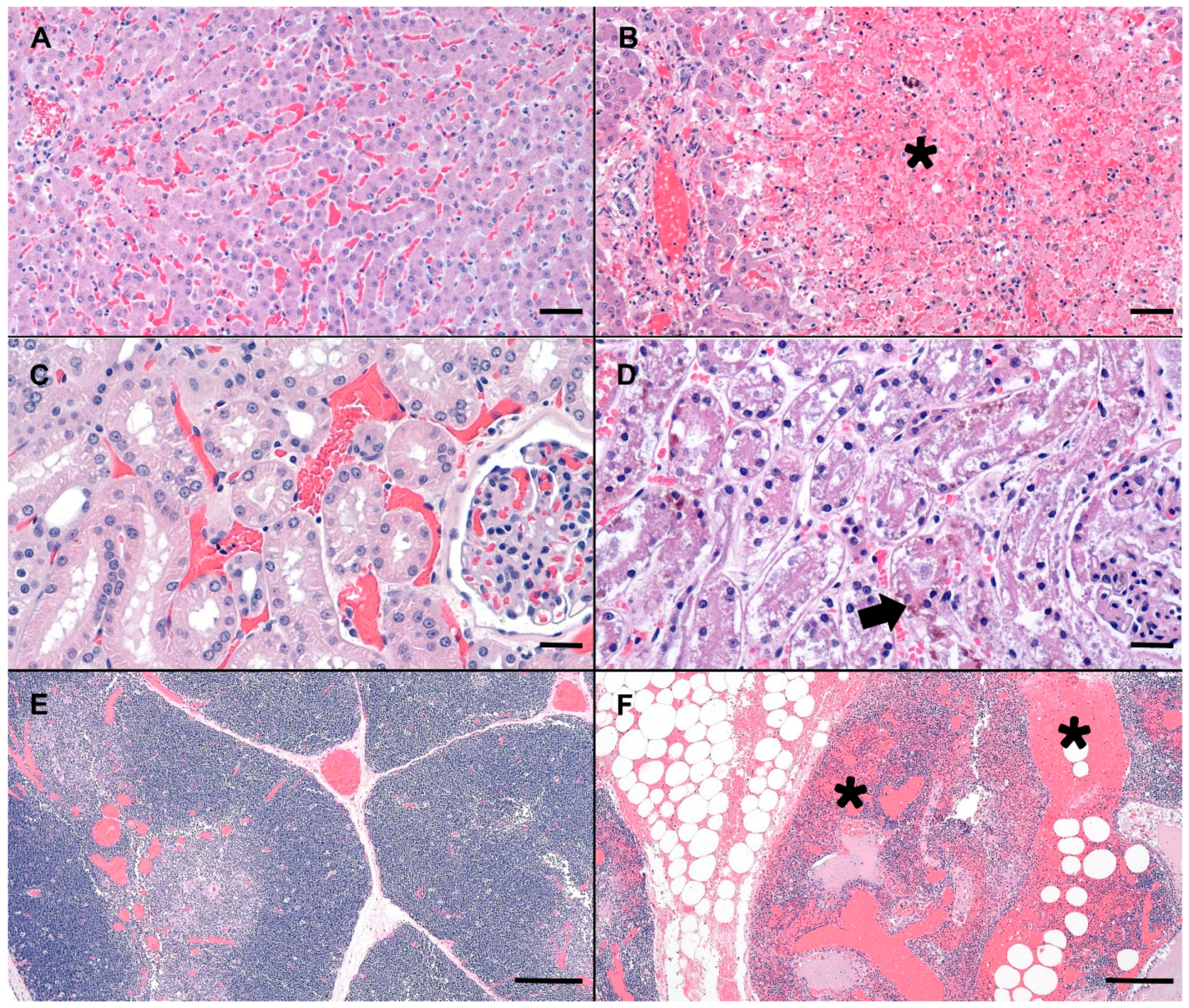 Toxins 11 00456 g001 Toxins 11 00456 g001