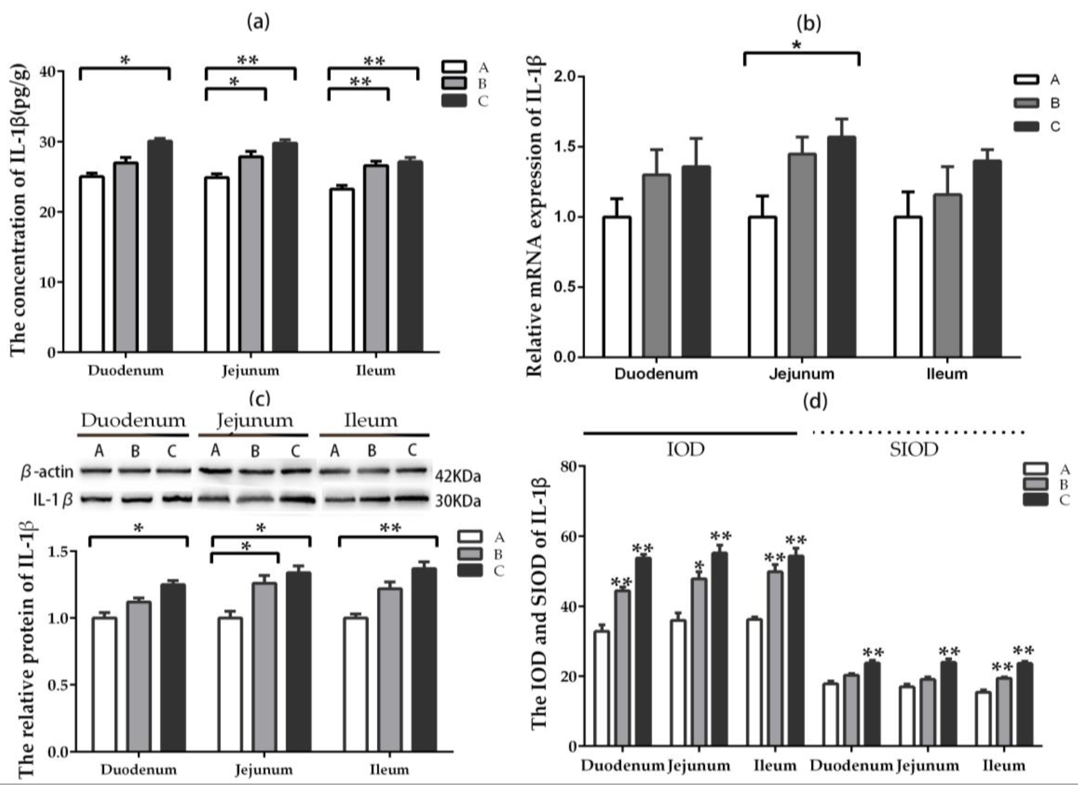 Toxins 11 00473 g004