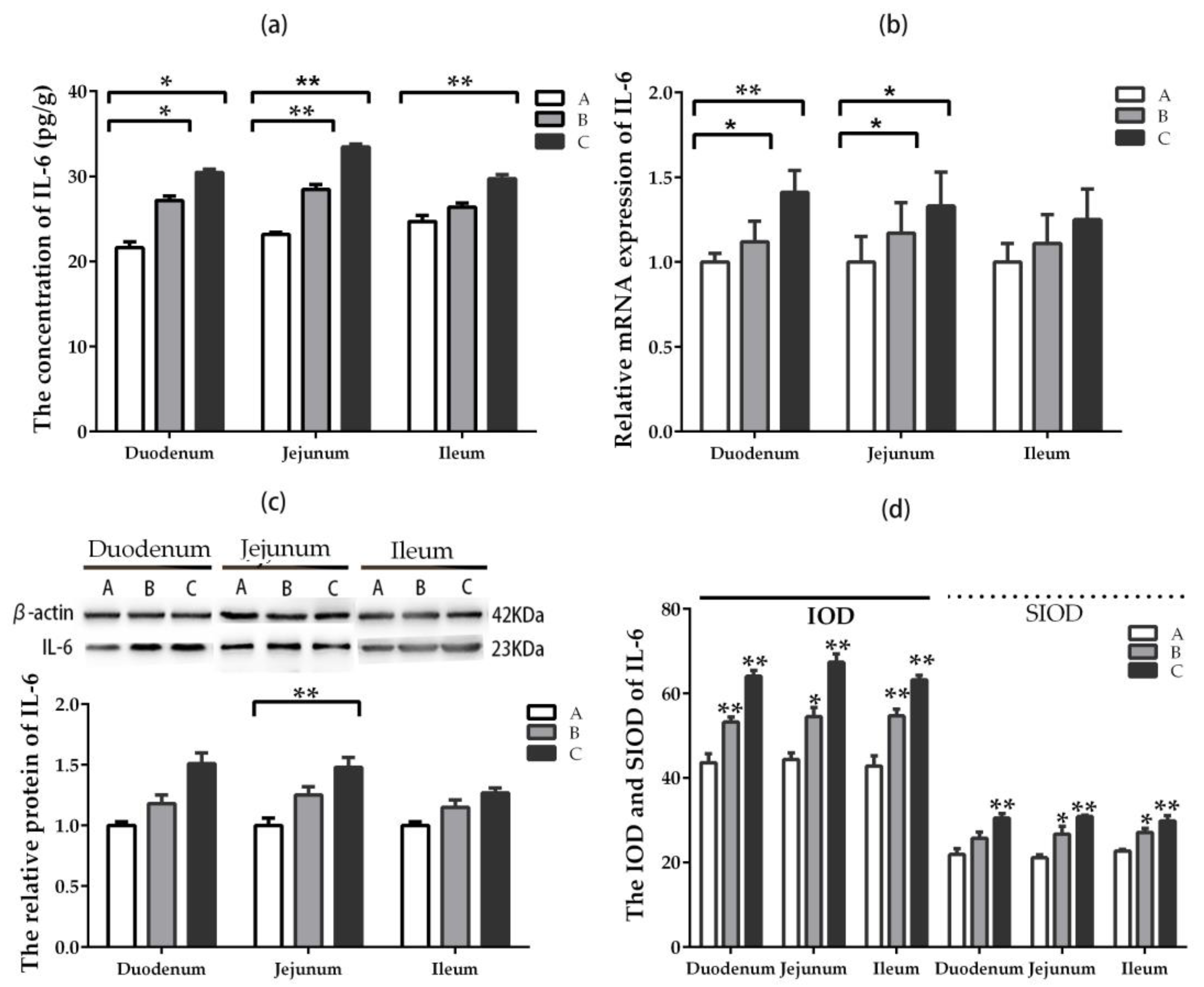 Toxins 11 00473 g006