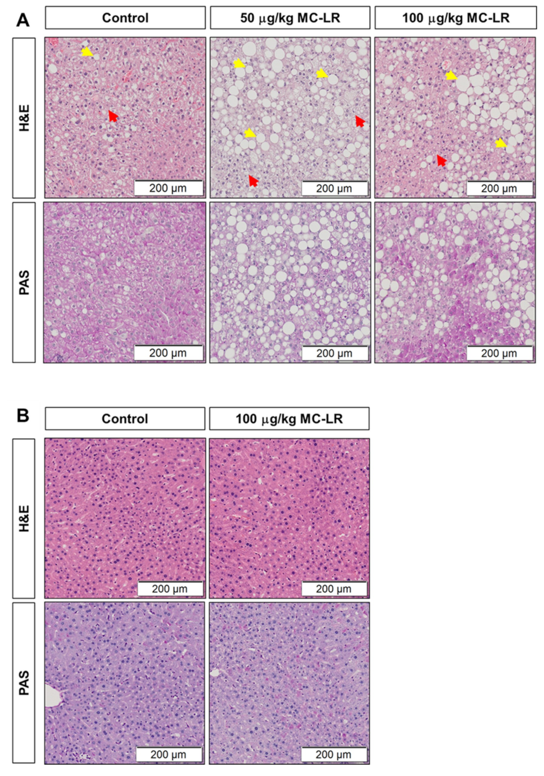 Toxins 11 00486 g004a