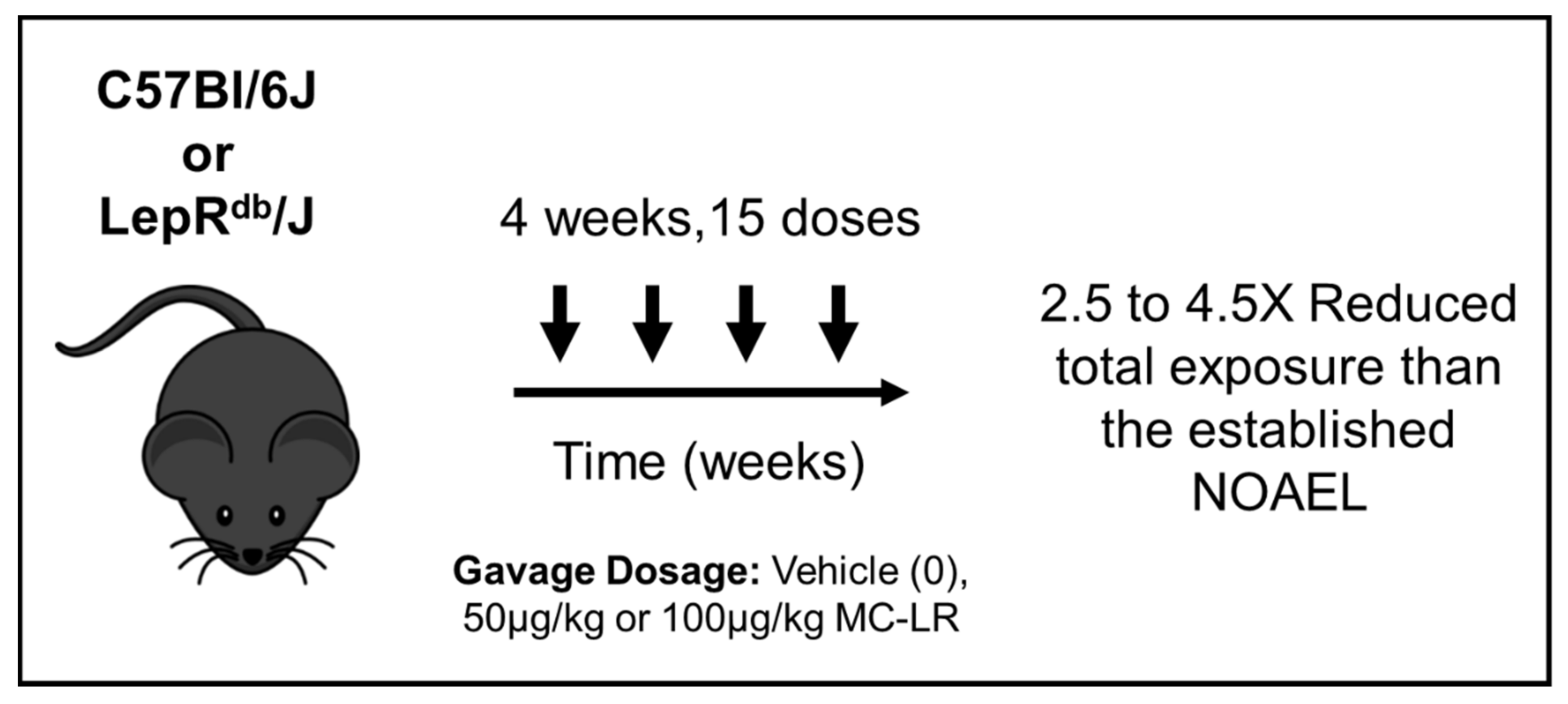 Toxins 11 00486 g005