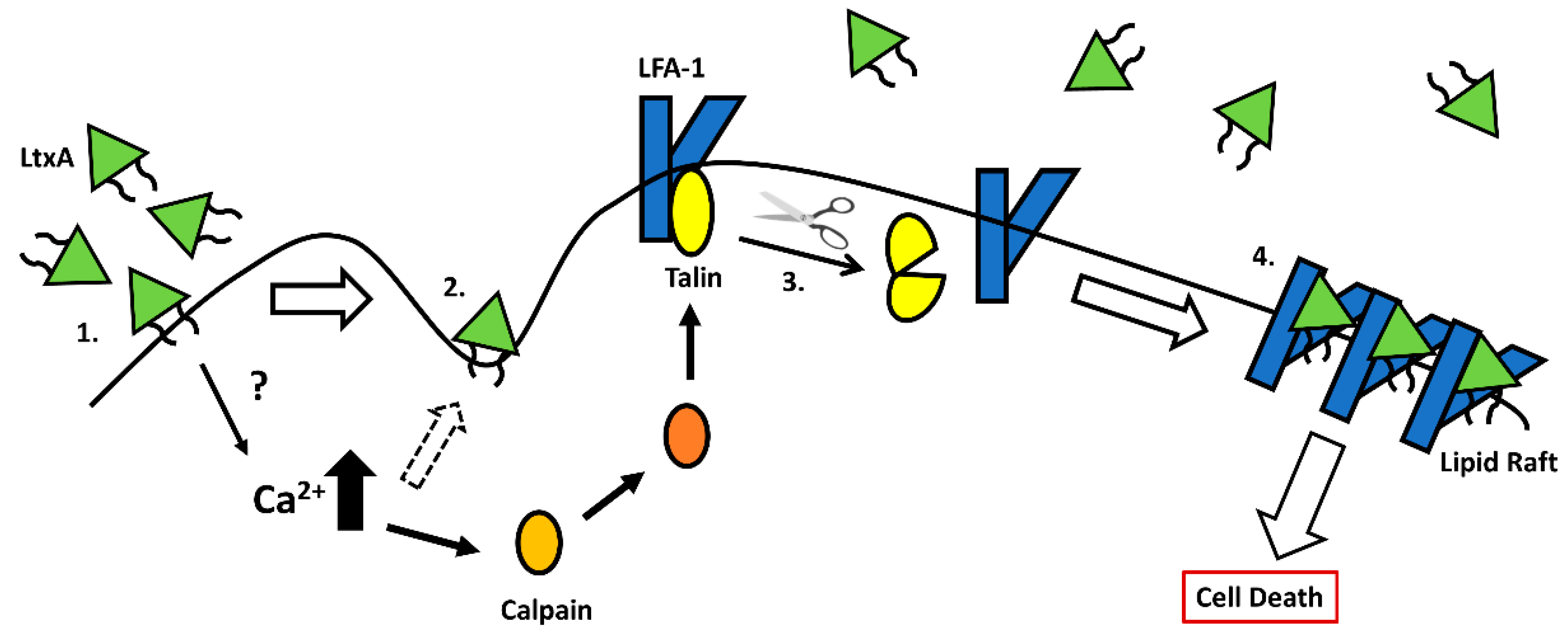 Toxins 11 00489 g001