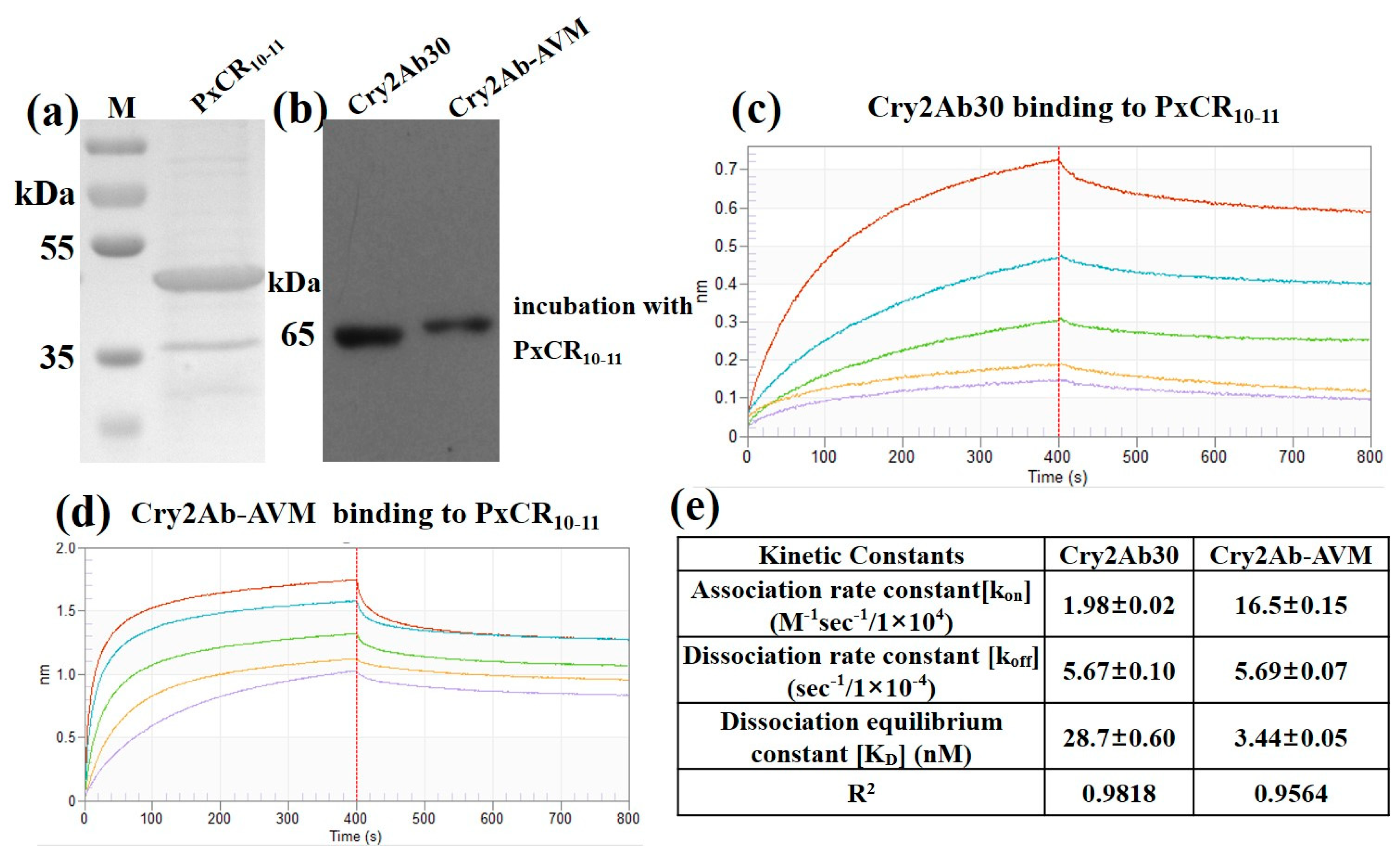 Toxins 11 00497 g003