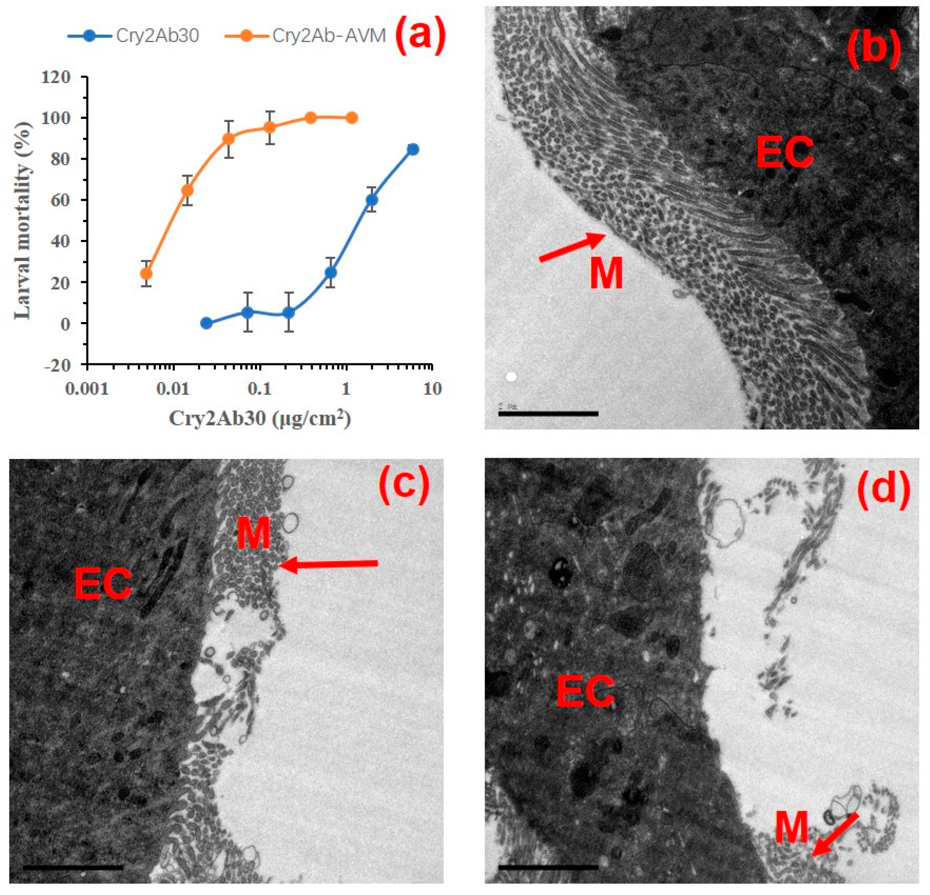Toxins 11 00497 g004