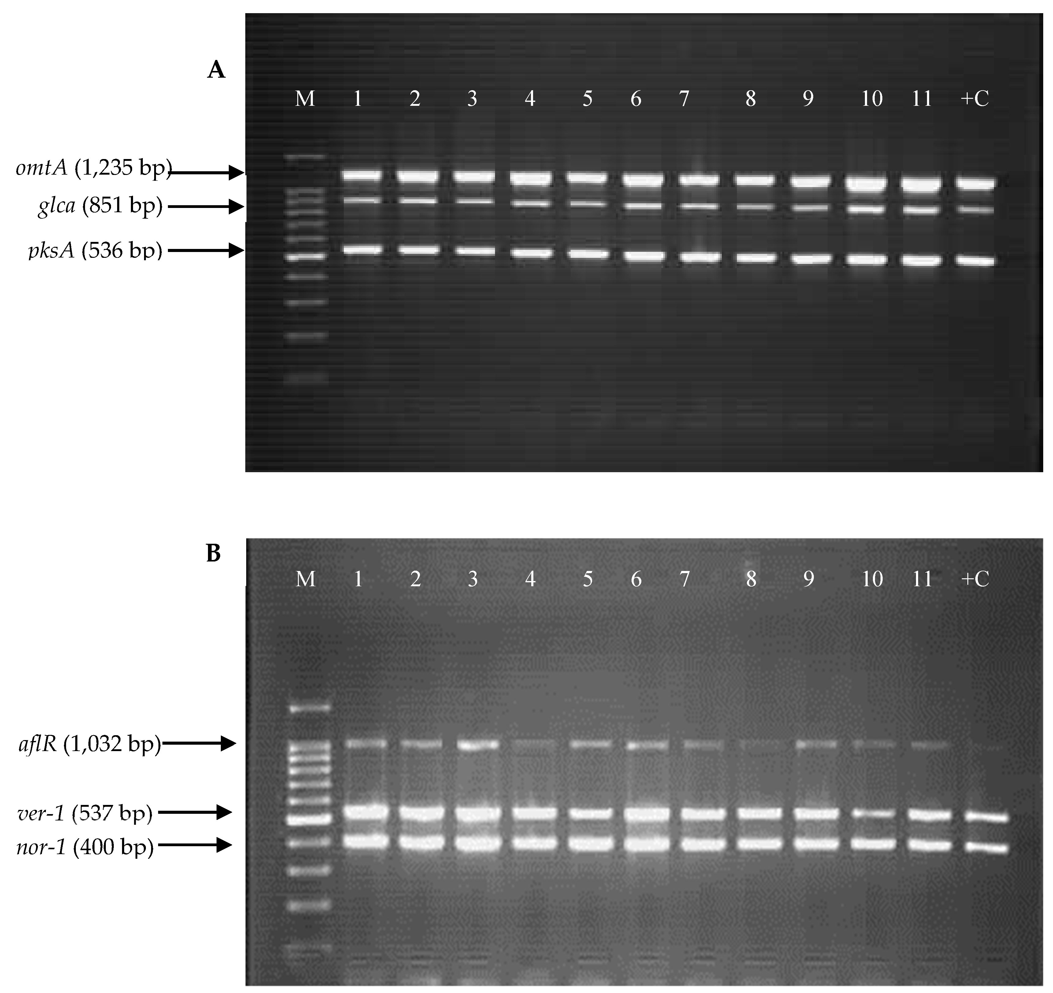 Toxins 11 00501 g004 Toxins 11 00501 g004