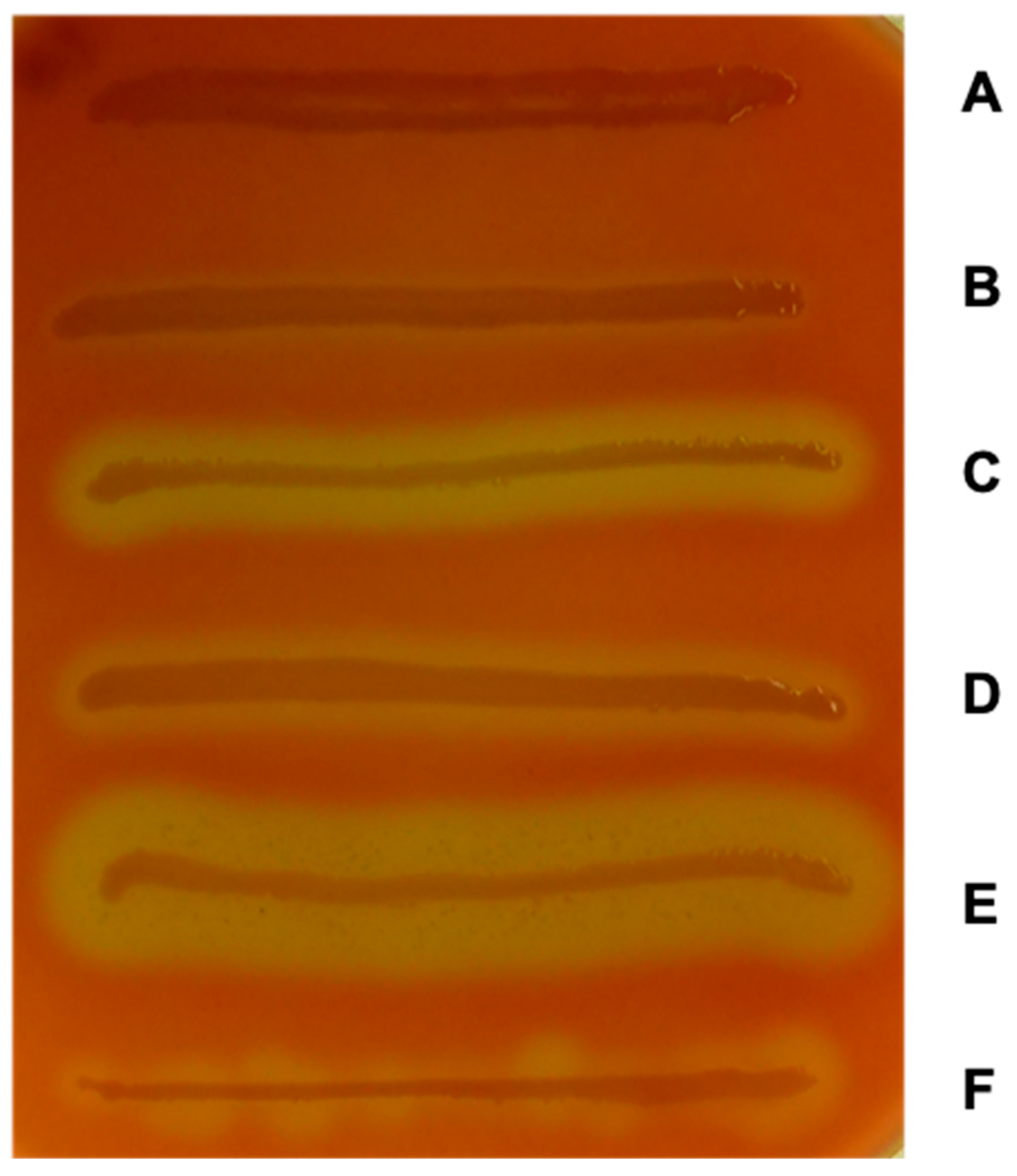 Toxins 11 00502 g001 Toxins 11 00502 g001