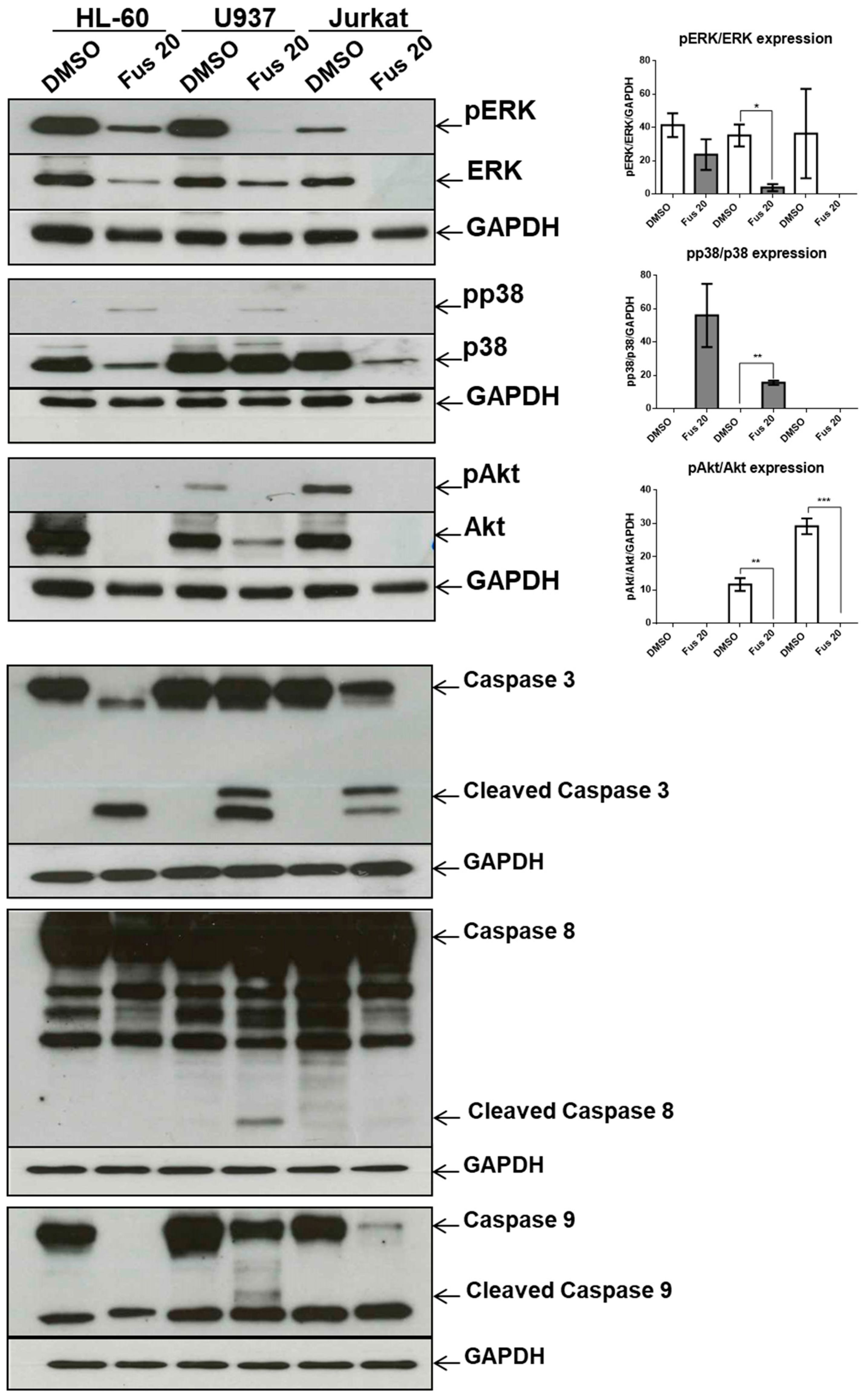 Toxins 11 00503 g007 Toxins 11 00503 g007