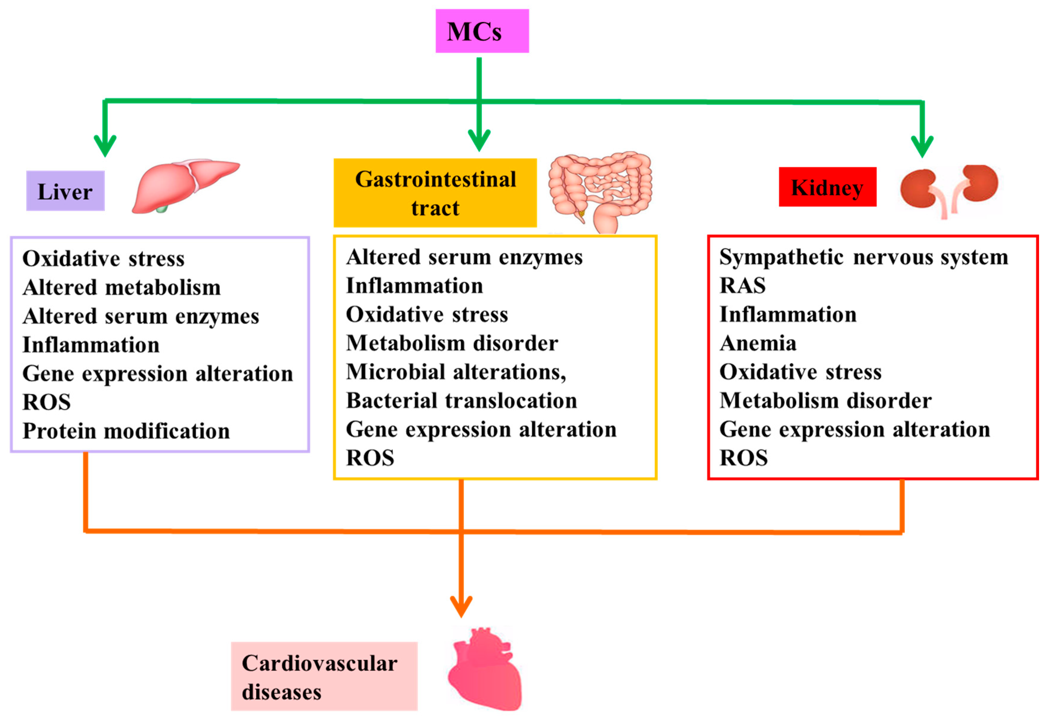 Toxins 11 00507 g002 Toxins 11 00507 g002