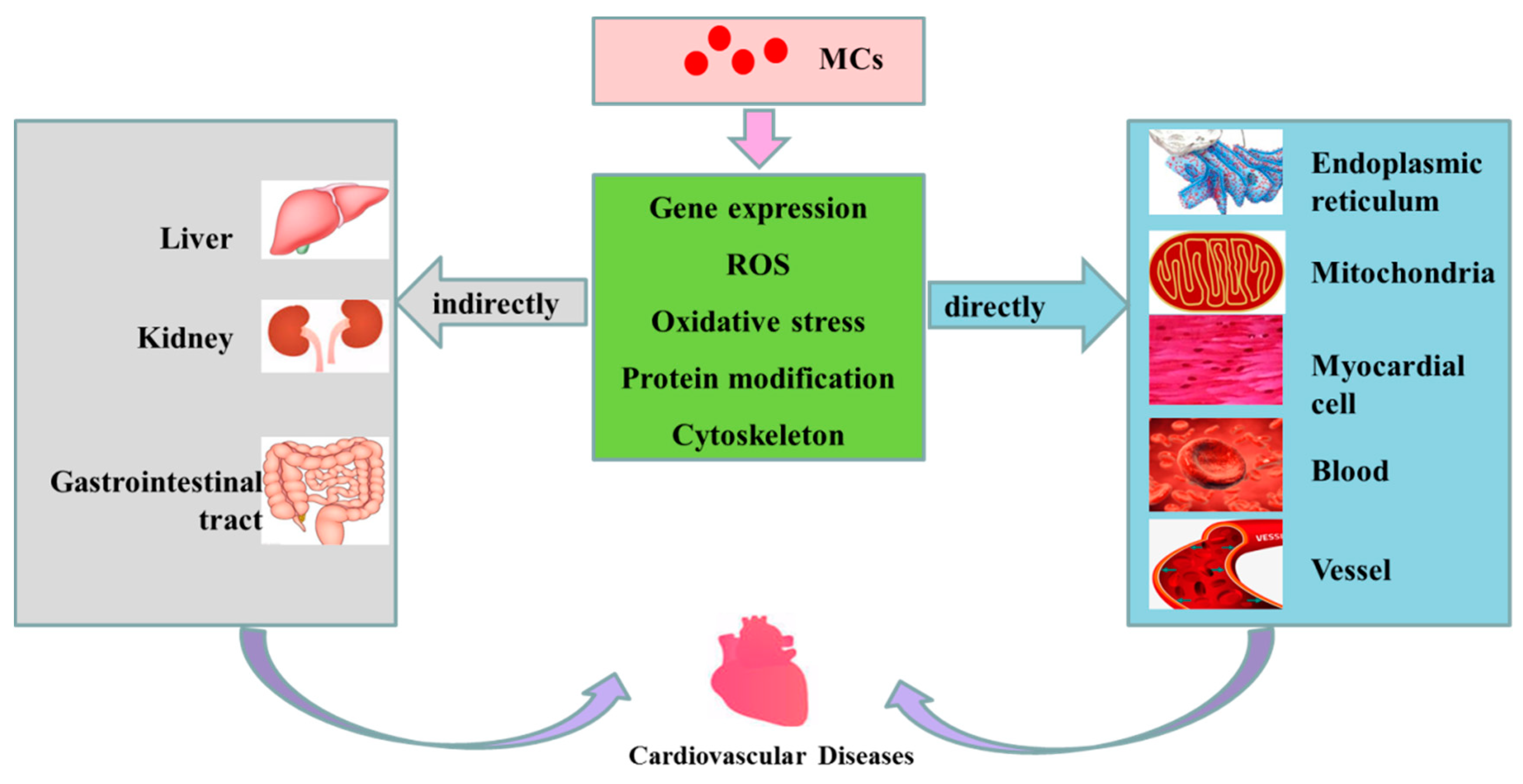 Toxins 11 00507 g003 Toxins 11 00507 g003