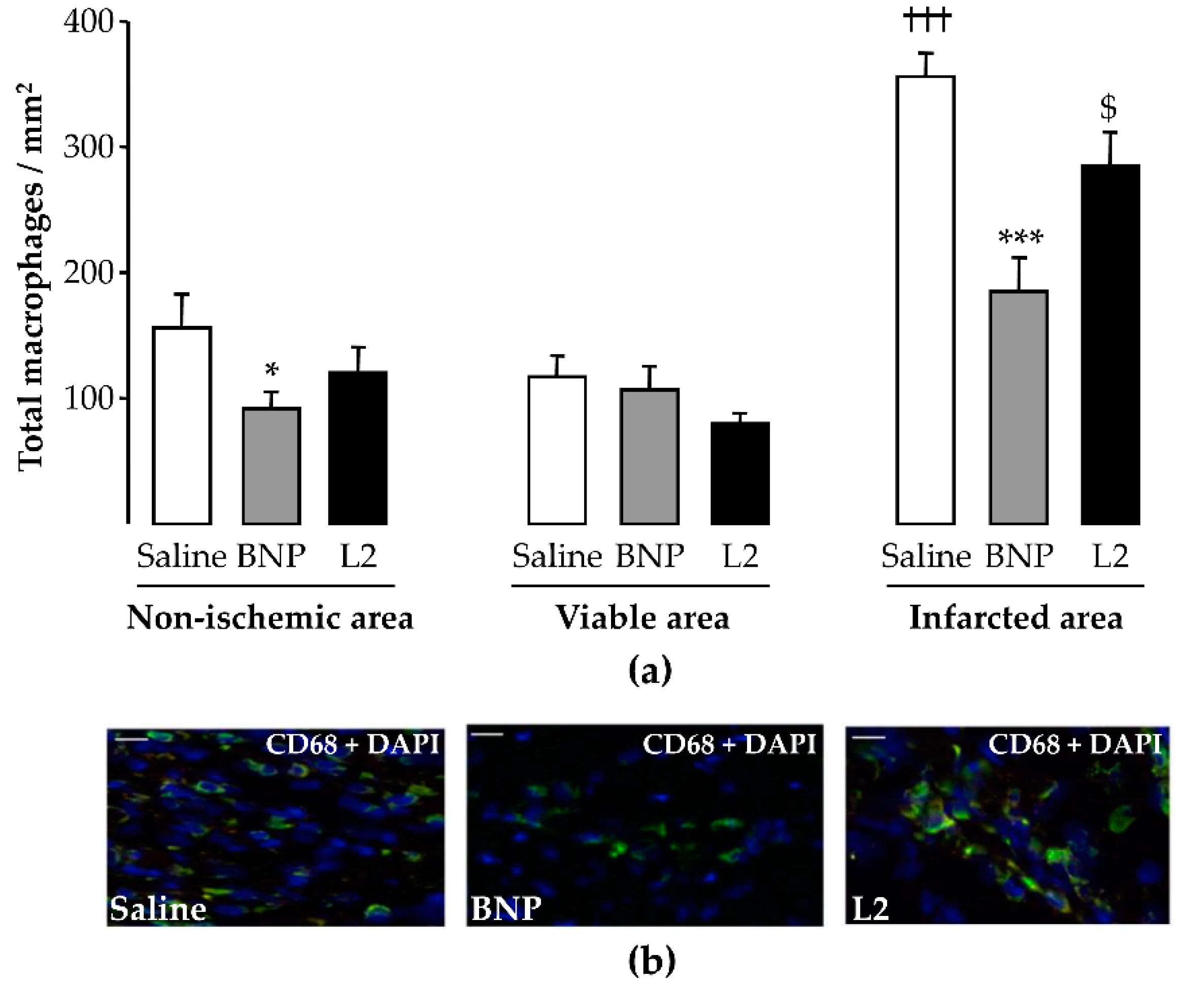Toxins 11 00524 g005 Toxins 11 00524 g005