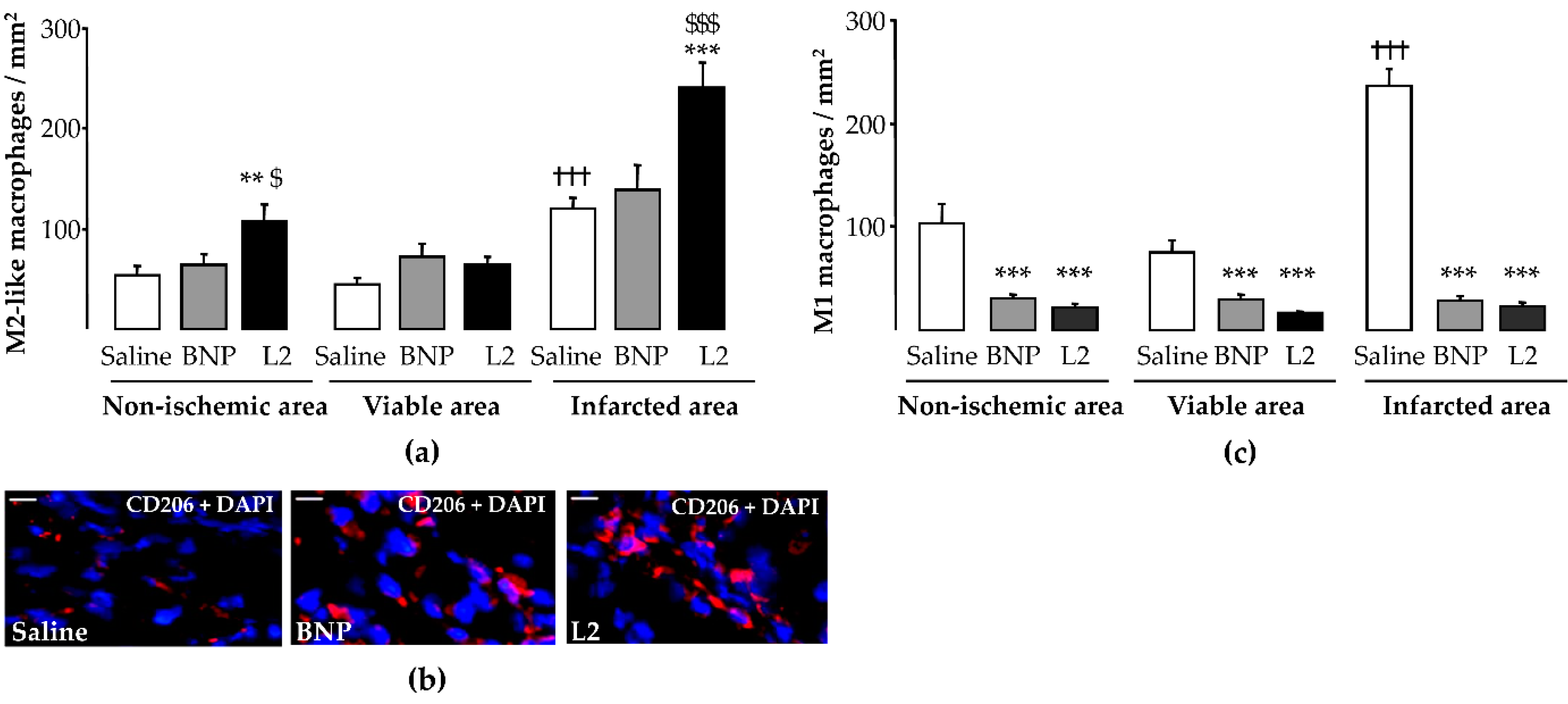 Toxins 11 00524 g006 Toxins 11 00524 g006