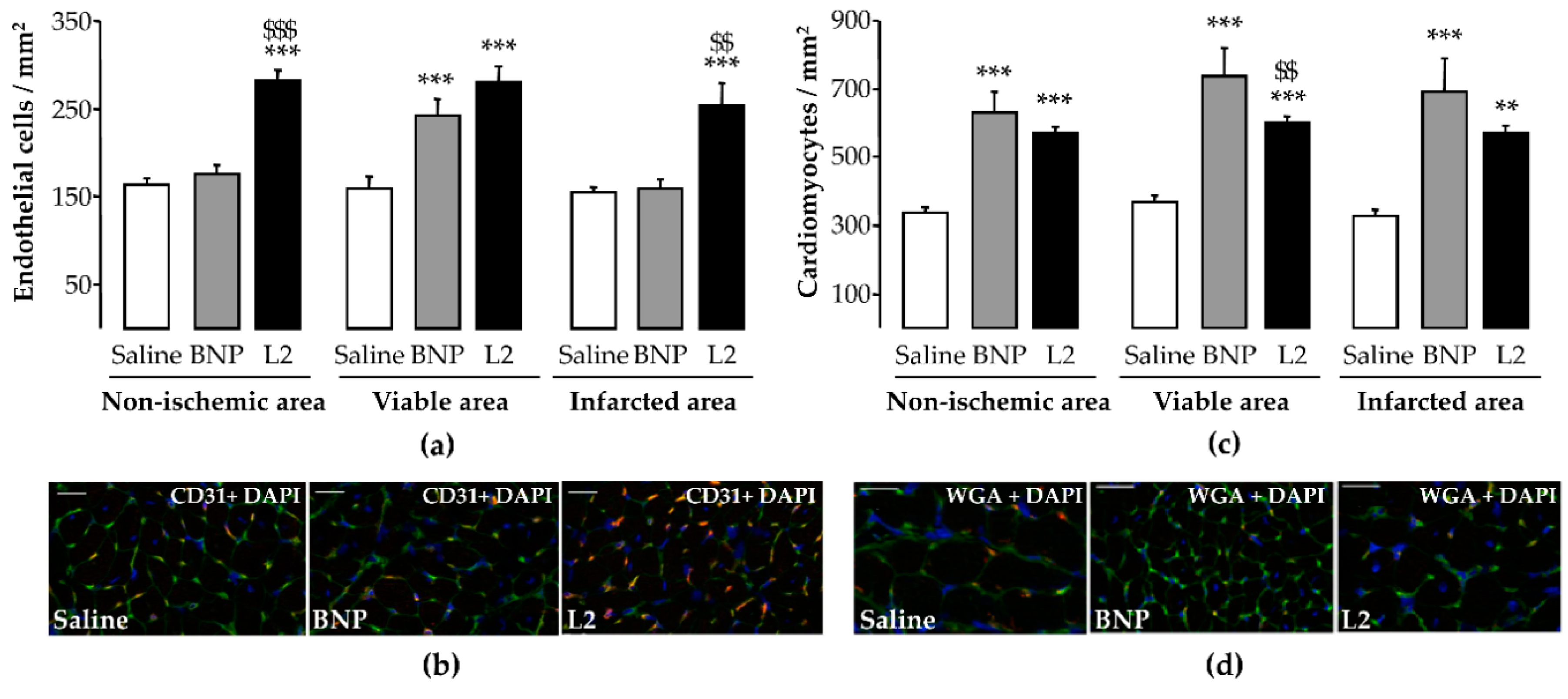 Toxins 11 00524 g007 Toxins 11 00524 g007