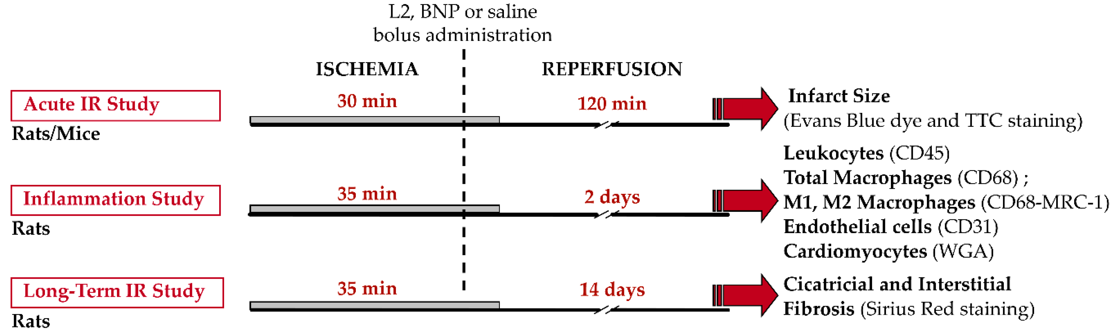 Toxins 11 00524 g009 Toxins 11 00524 g009