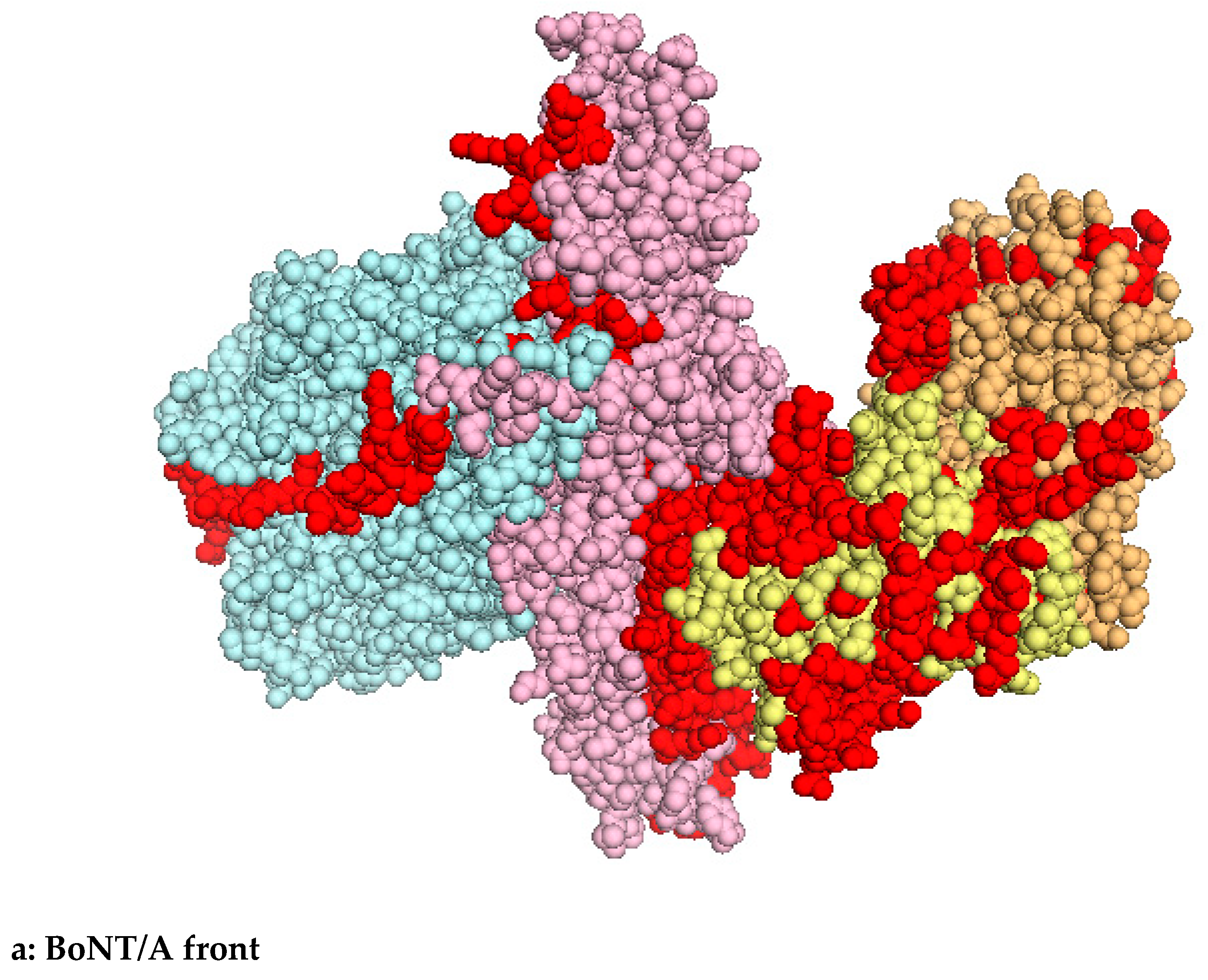 Toxins 11 00528 g001a Toxins 11 00528 g001a