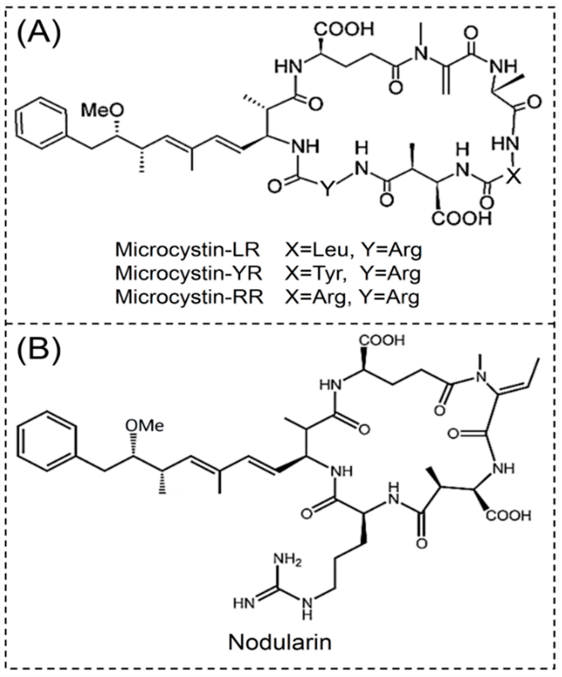 Toxins 11 00530 g001