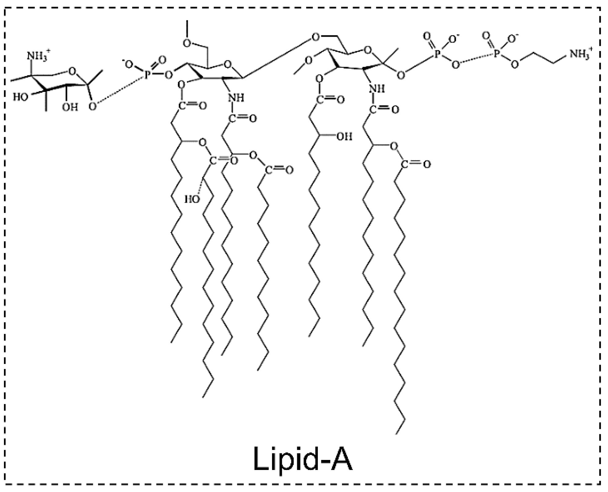 Toxins 11 00530 g005