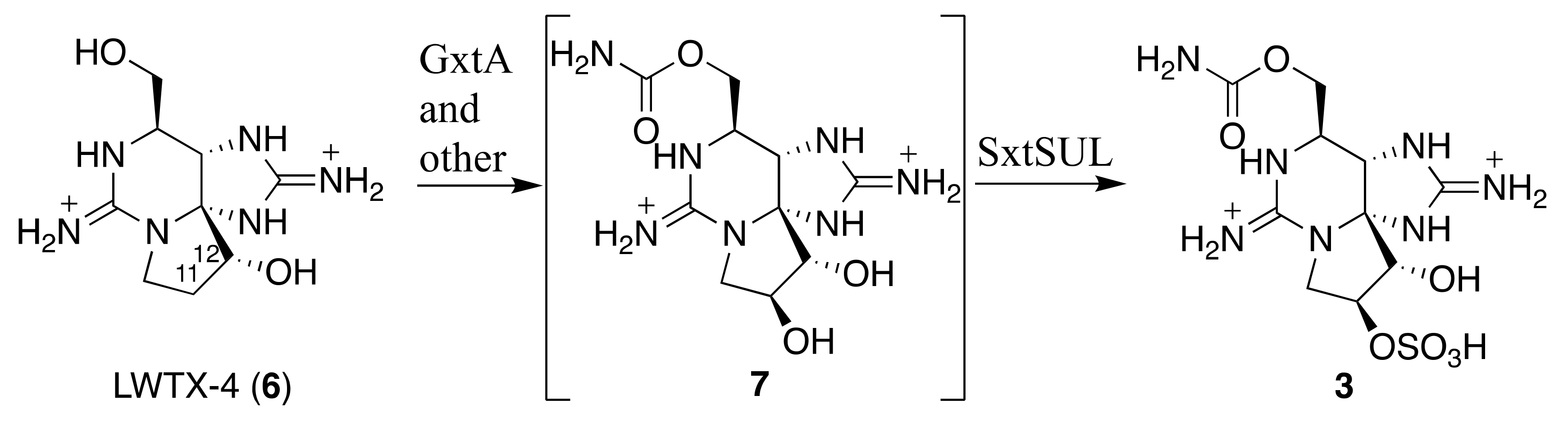 Toxins 11 00539 g007
