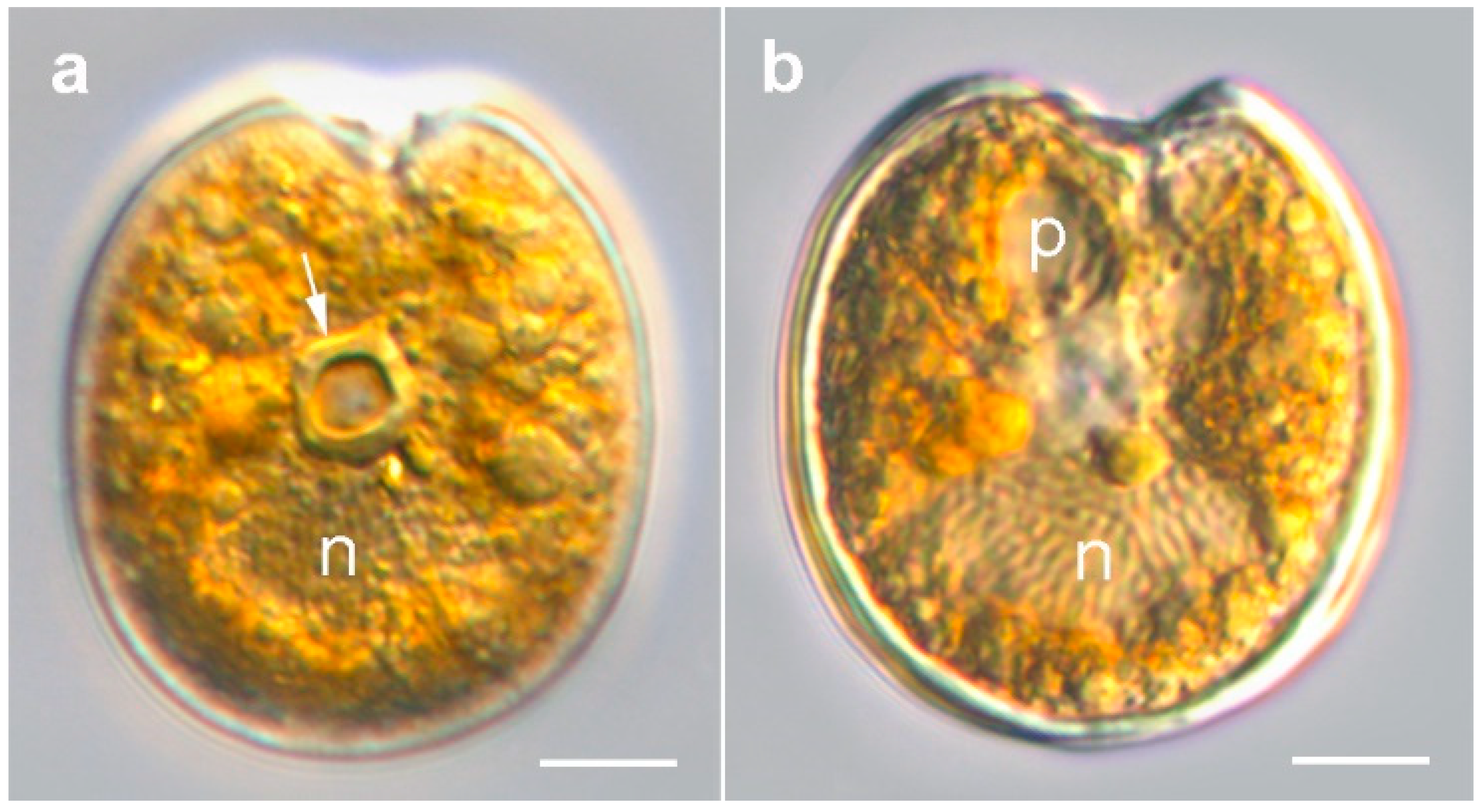 Toxins 11 00571 g002