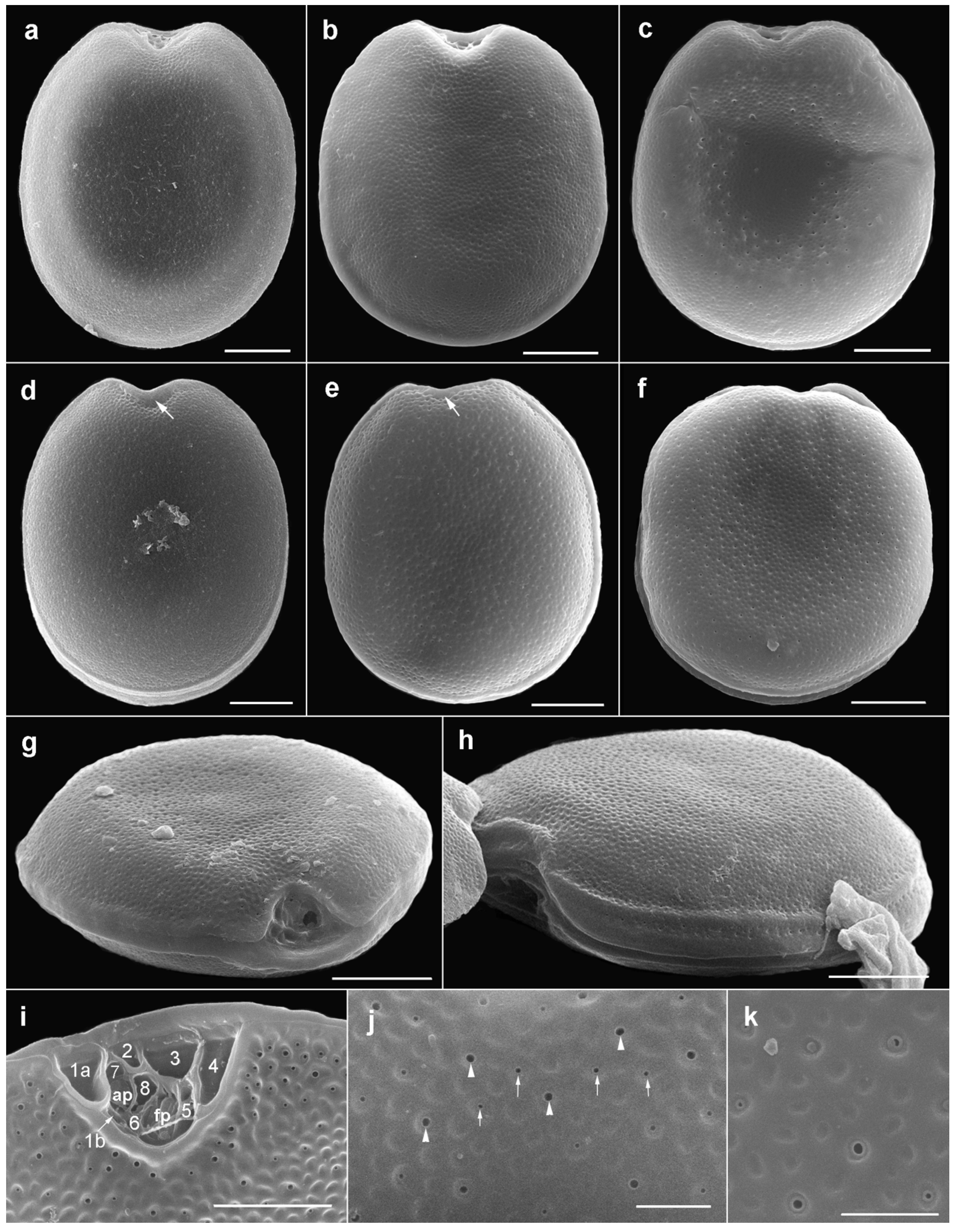 Toxins 11 00571 g003