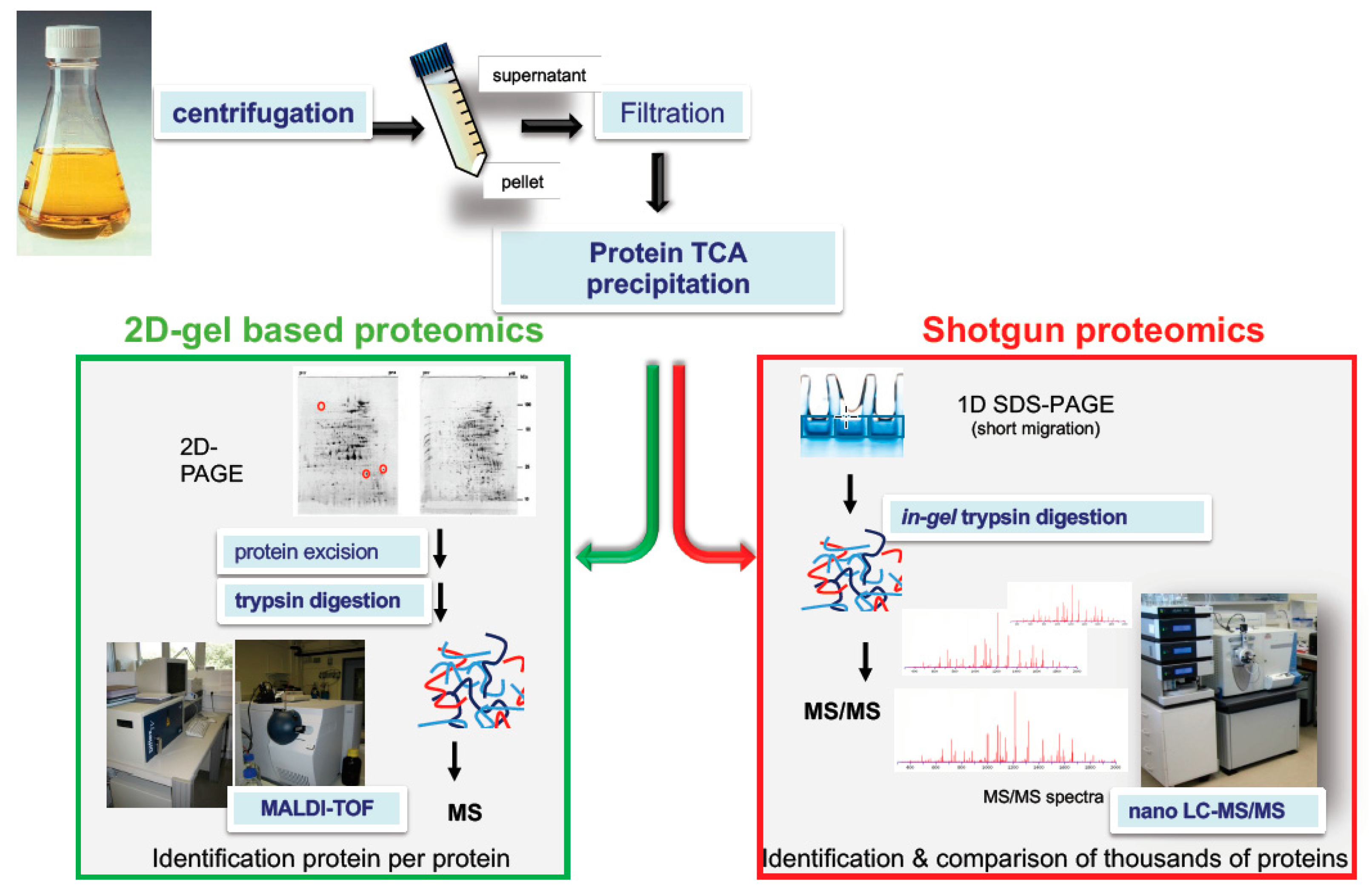 Toxins 11 00576 g002